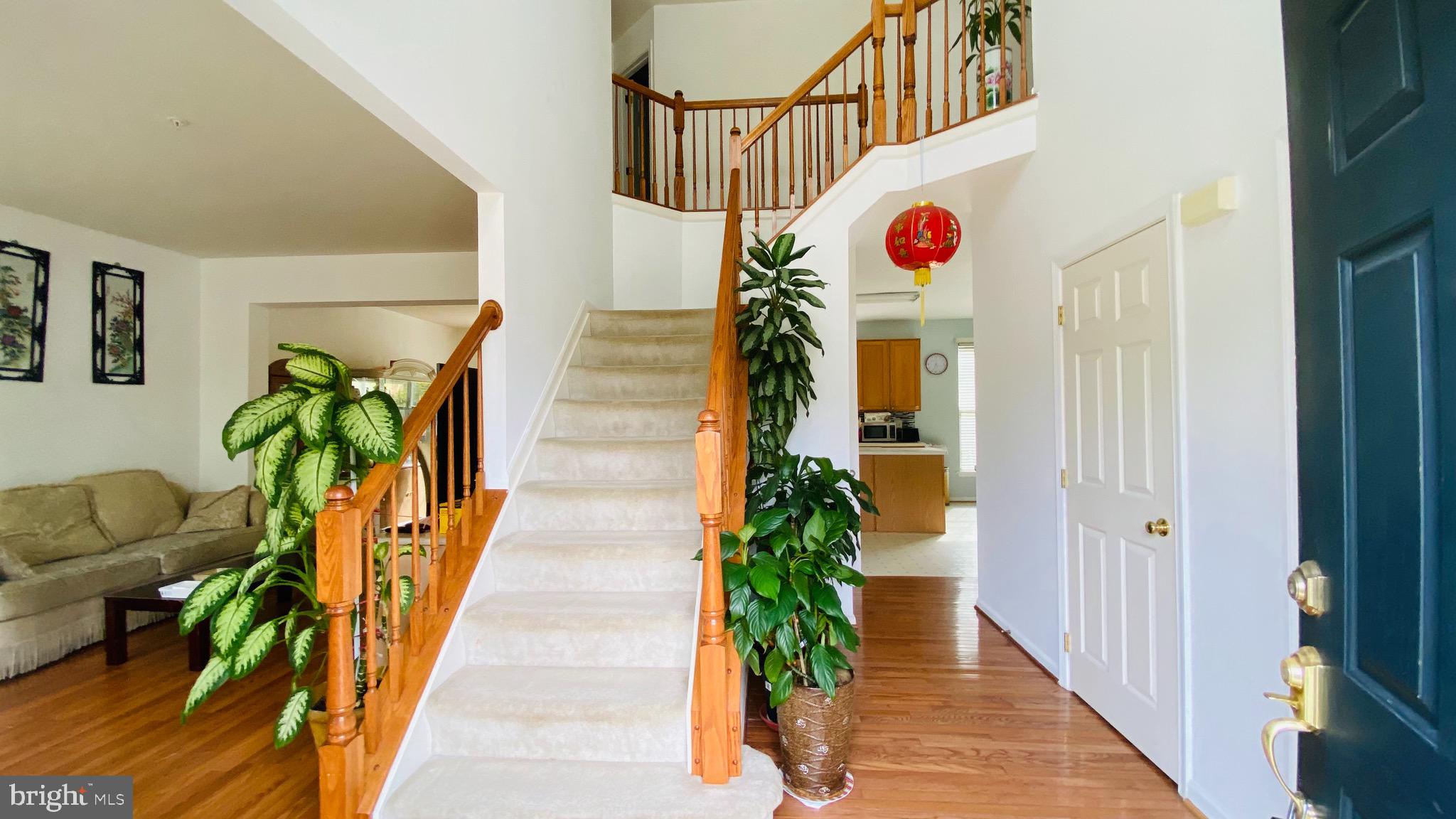 COLLINGTON - Residential Lease