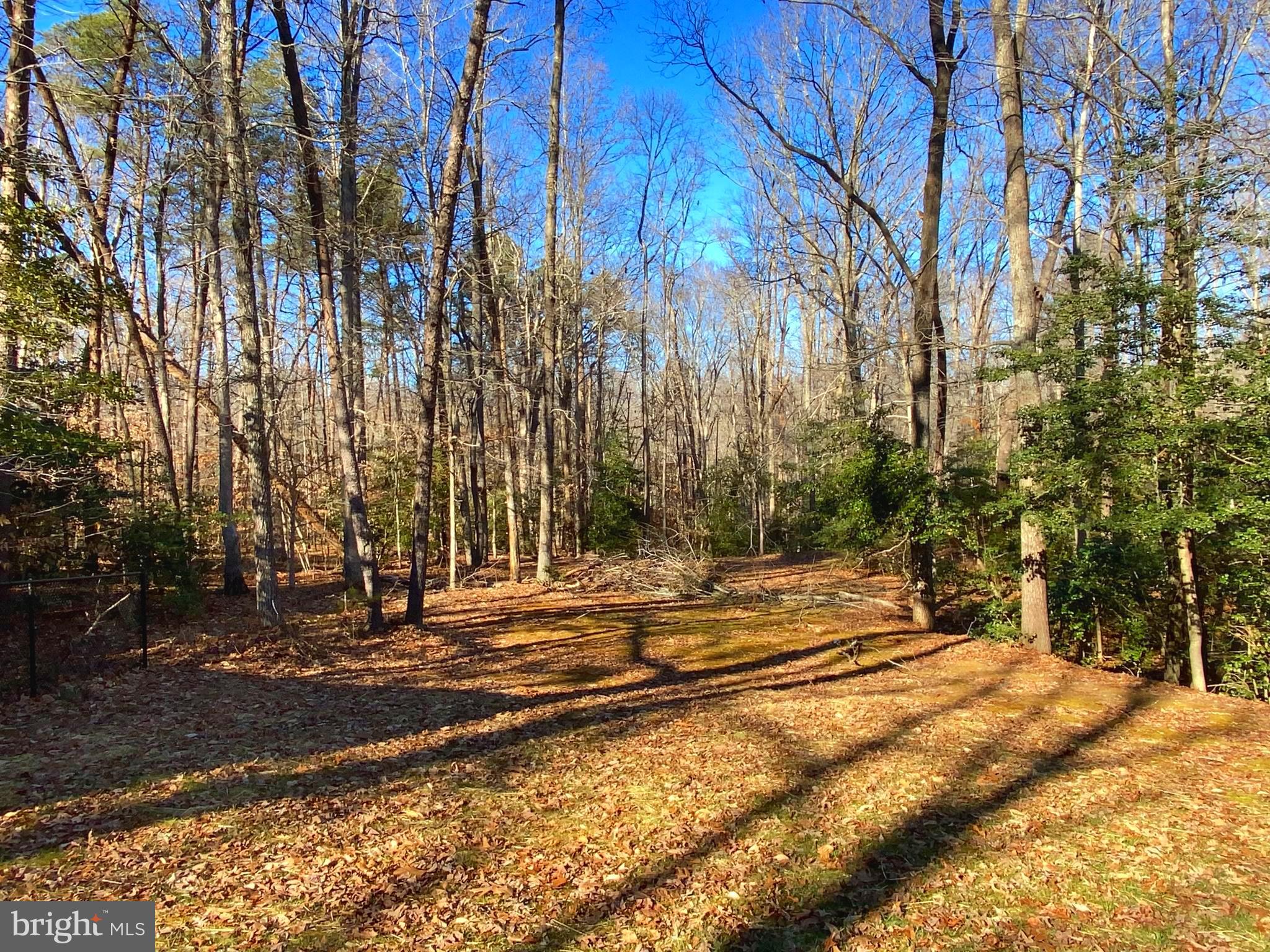 QUEEN ARBOR - Residential