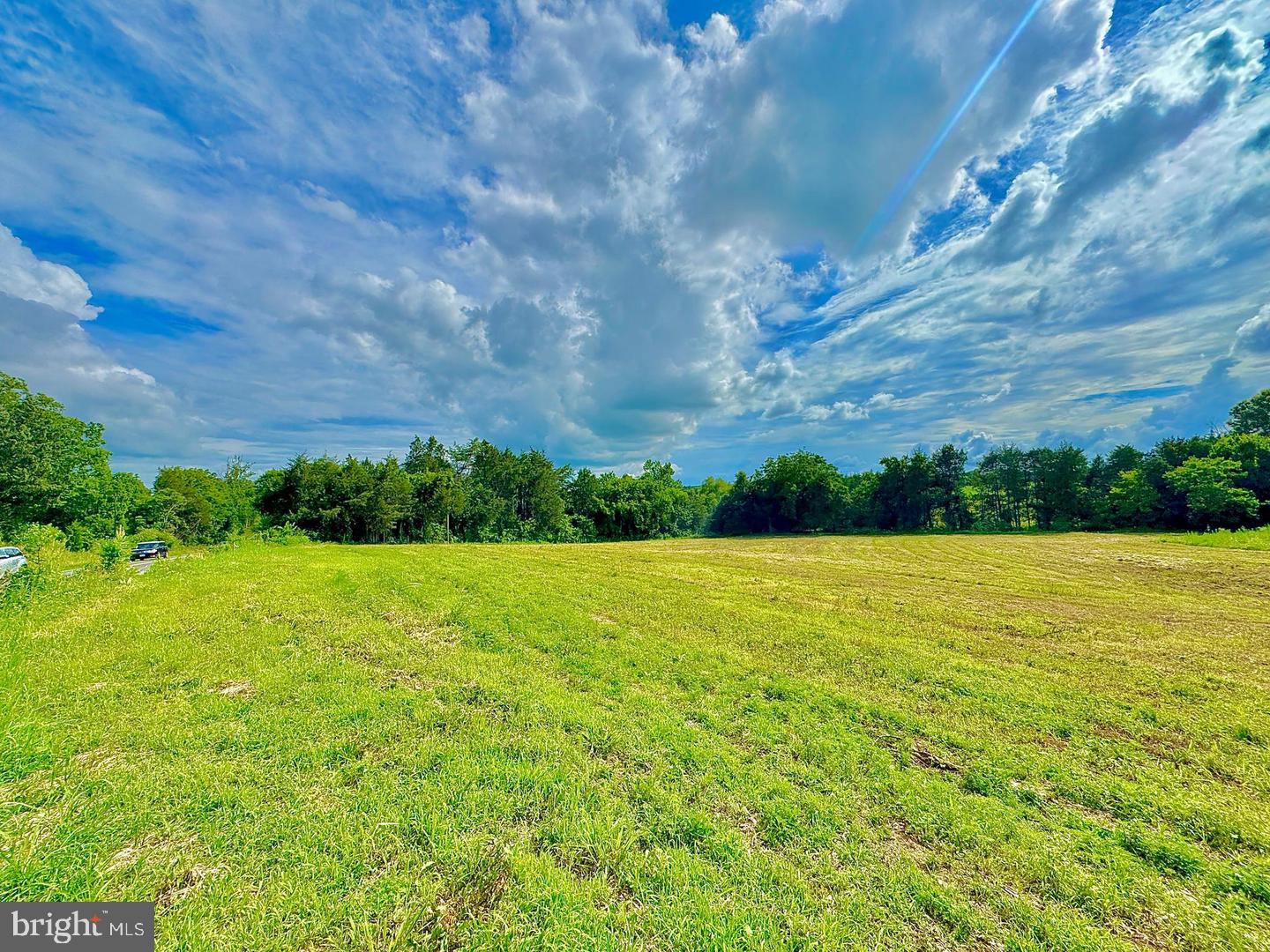 Lot 8 ZACHARY TAYLOR HWY