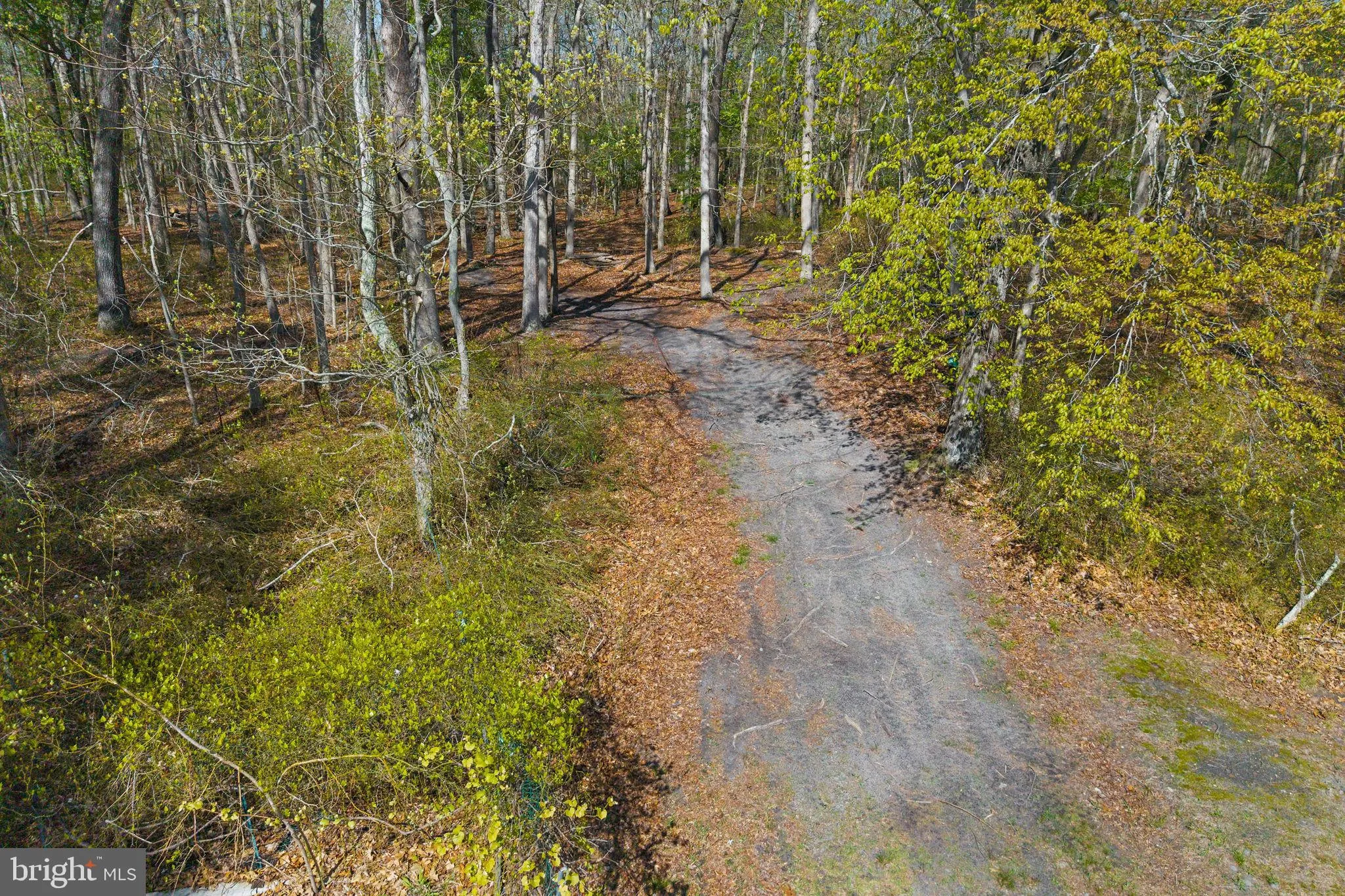 Additional image 81 of 251 Locust Avenue, Howell, NJ 07731
