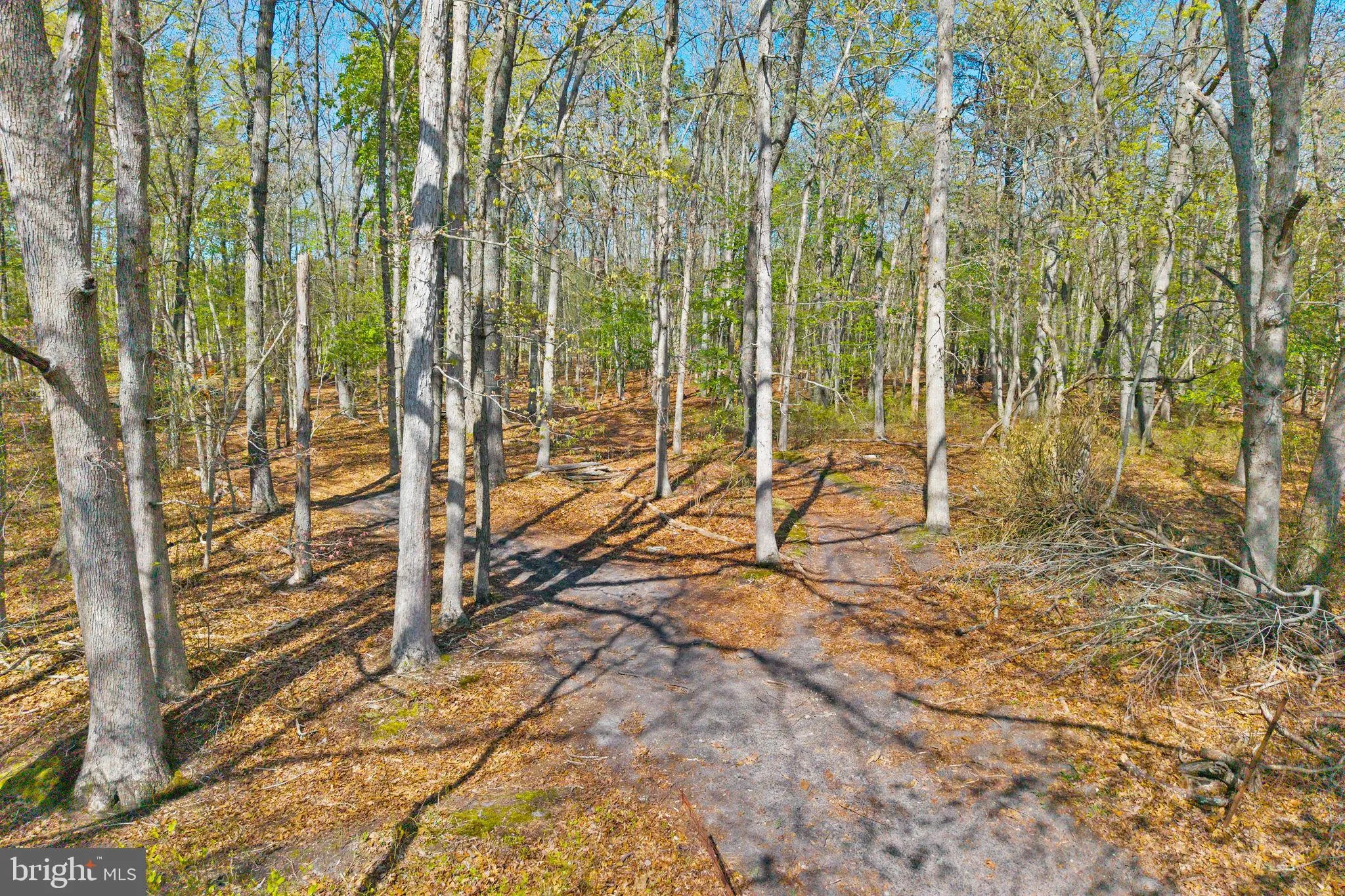Additional image 82 of 251 Locust Avenue, Howell, NJ 07731