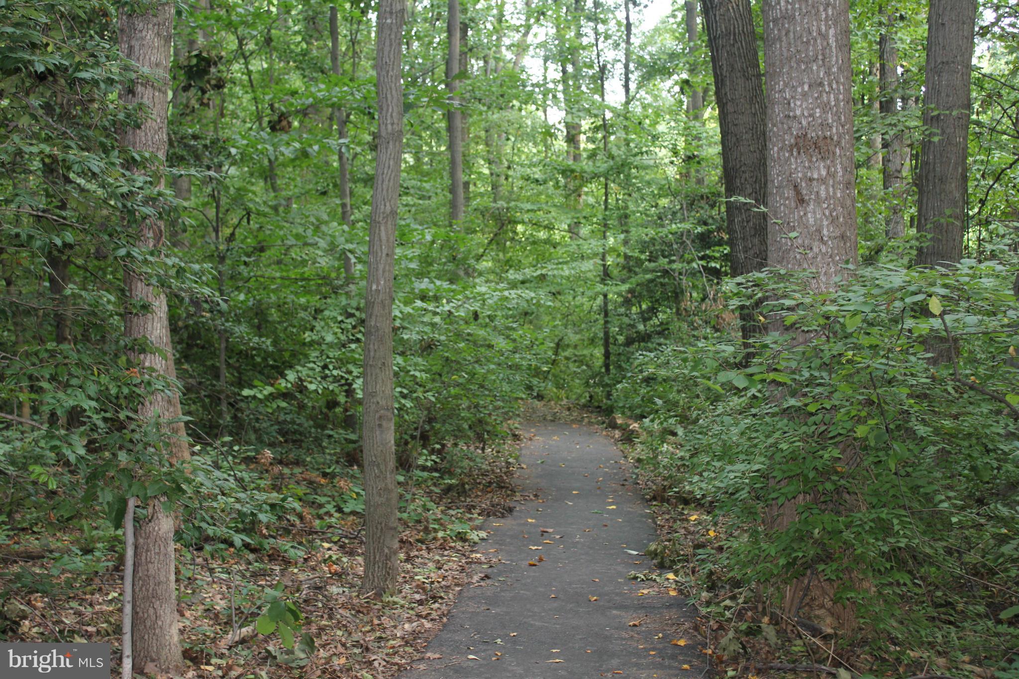 IVYMOUNT COURT - Residential Lease