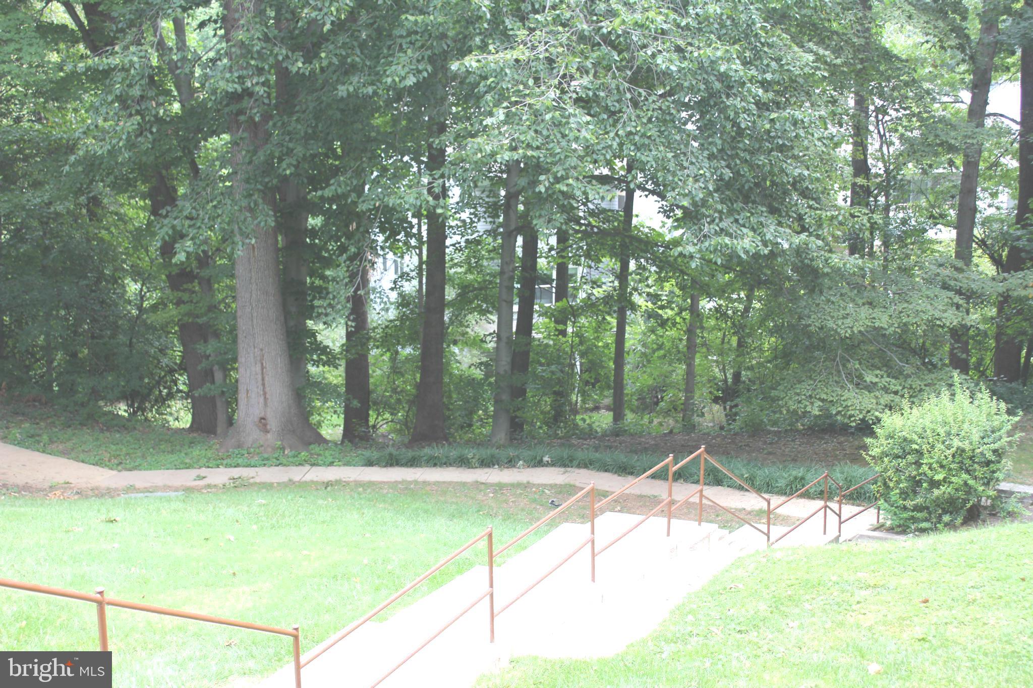 IVYMOUNT COURT - Residential Lease