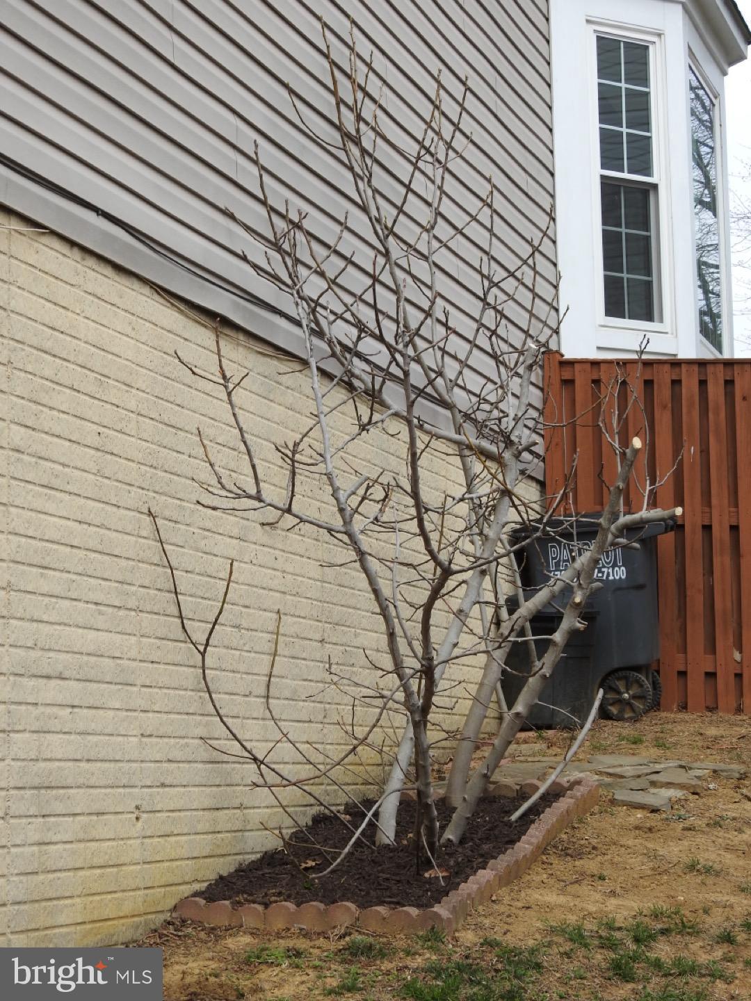 LAKESIDE - Residential