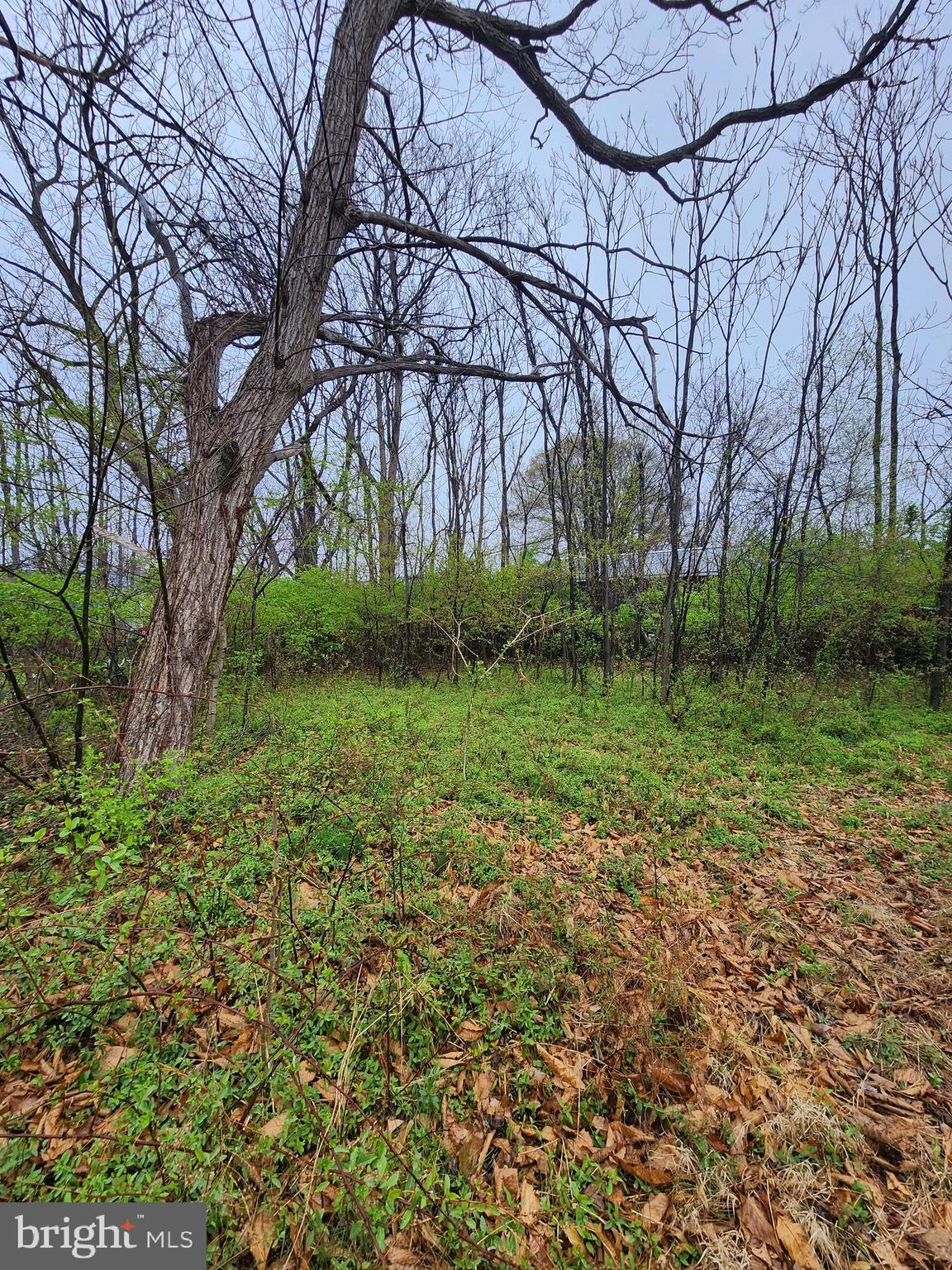LAKELAND - Residential
