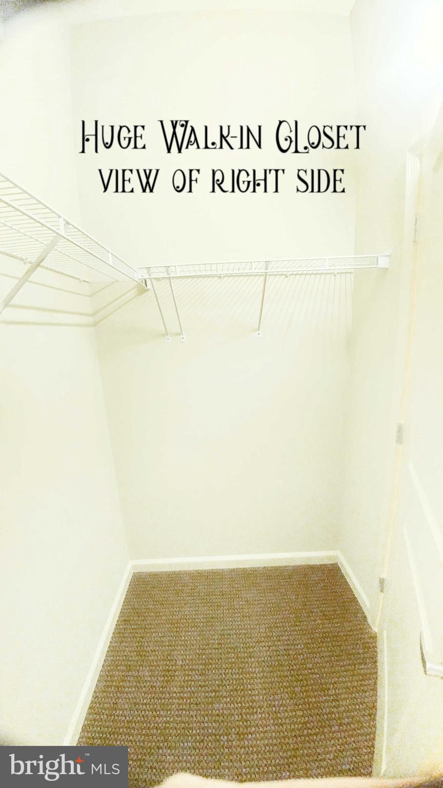 THE ROYALTON - Residential Lease