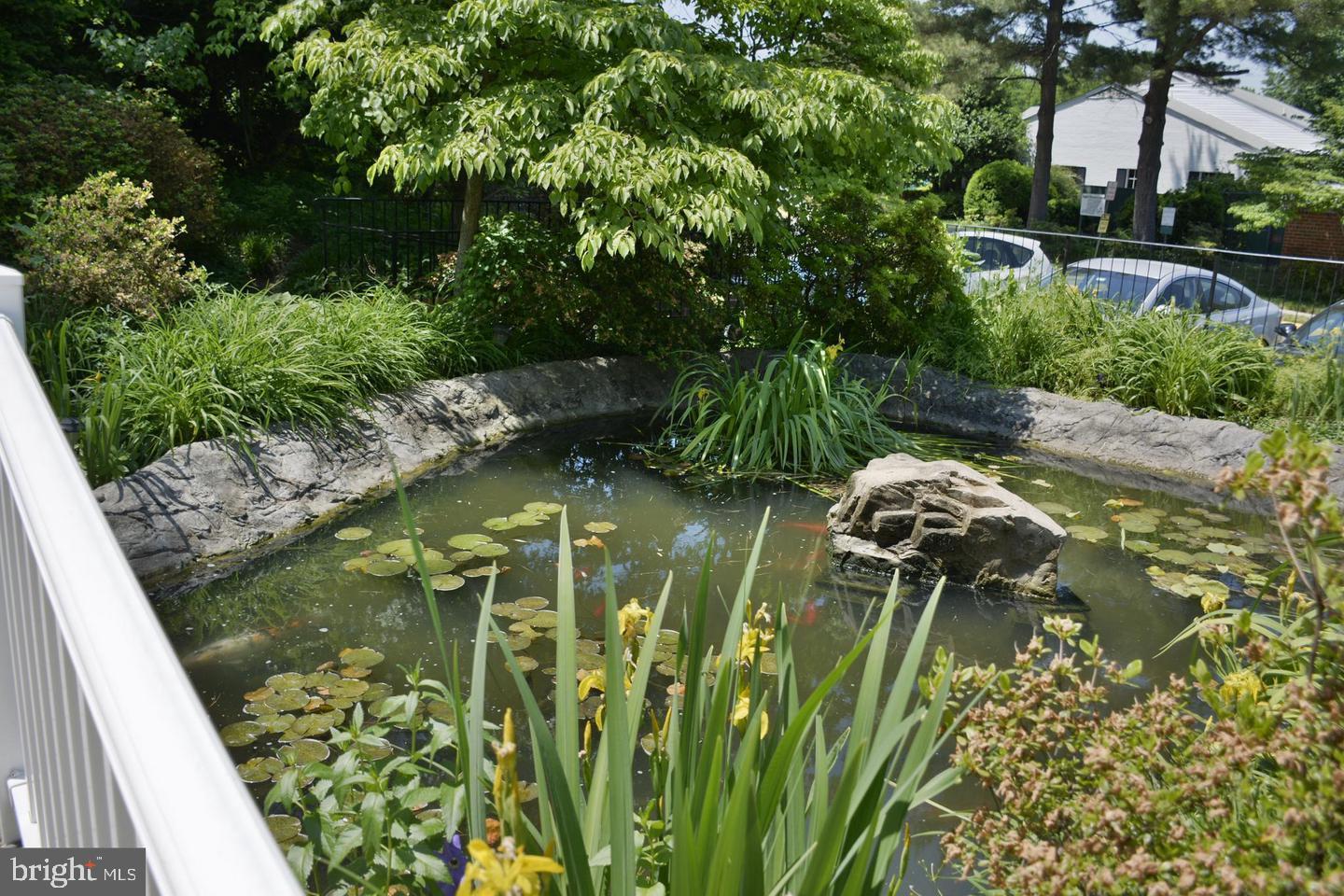 THE COLONIES - Residential Lease