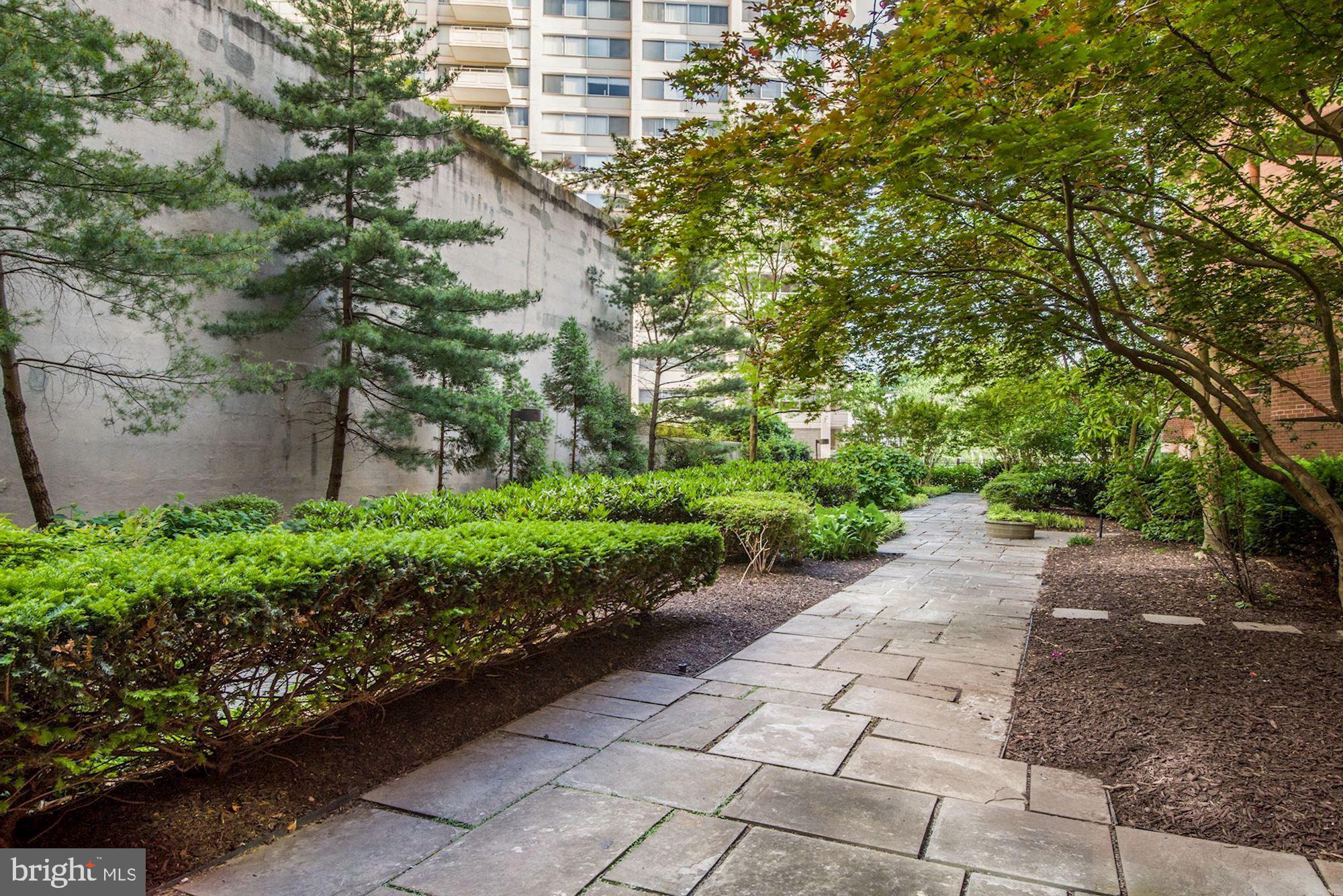 THE CARLETON OF CHEVY CHASE - Residential