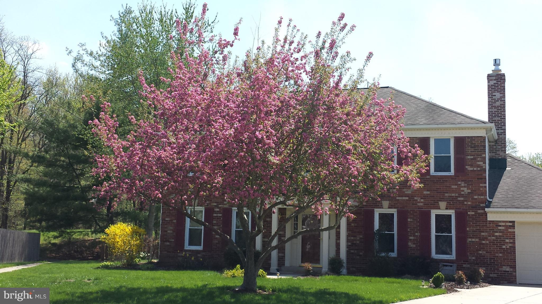 STONEYBROOKE - Residential Lease