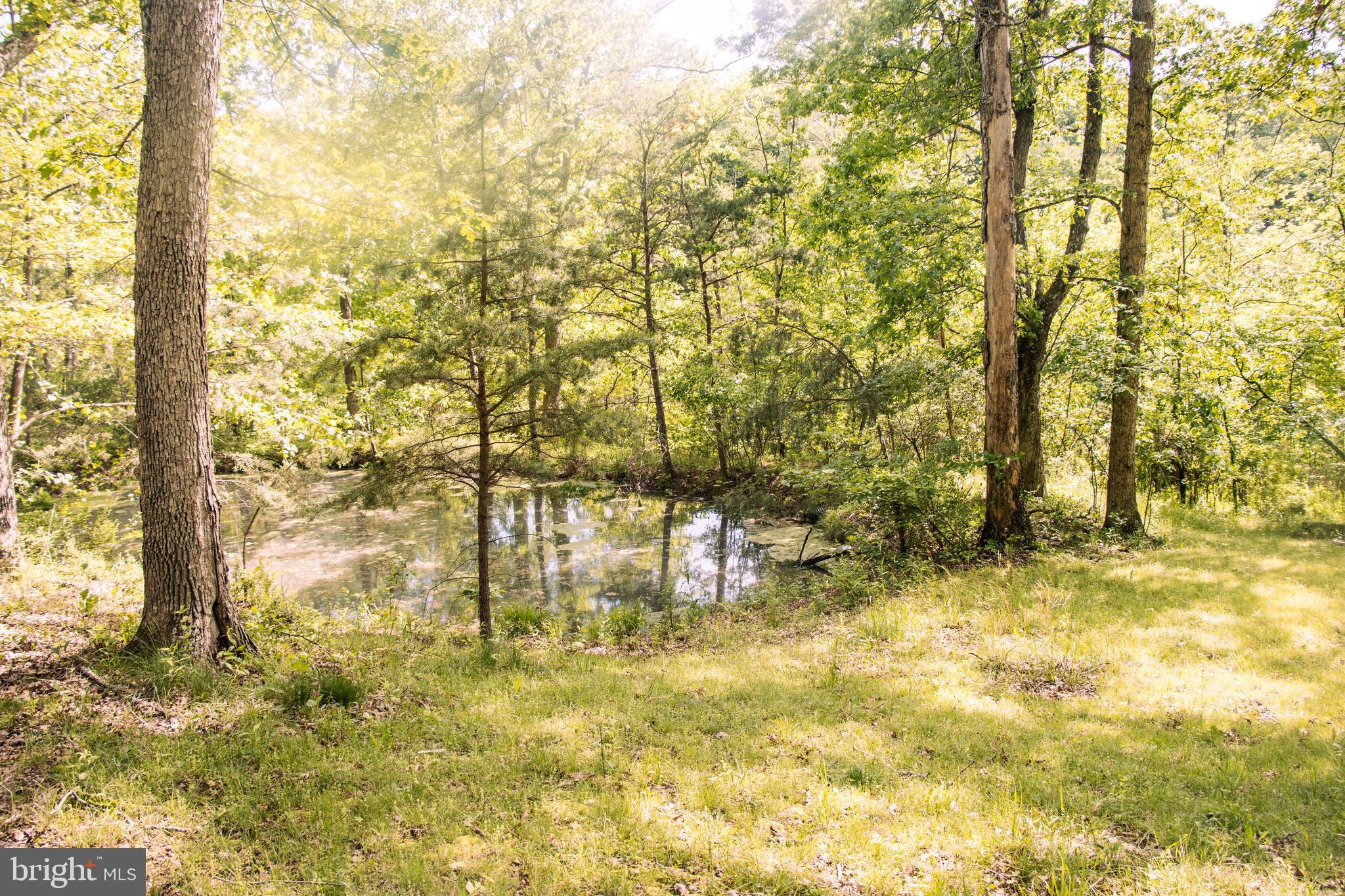 ROMNEY FRUIT RANCHES - Residential