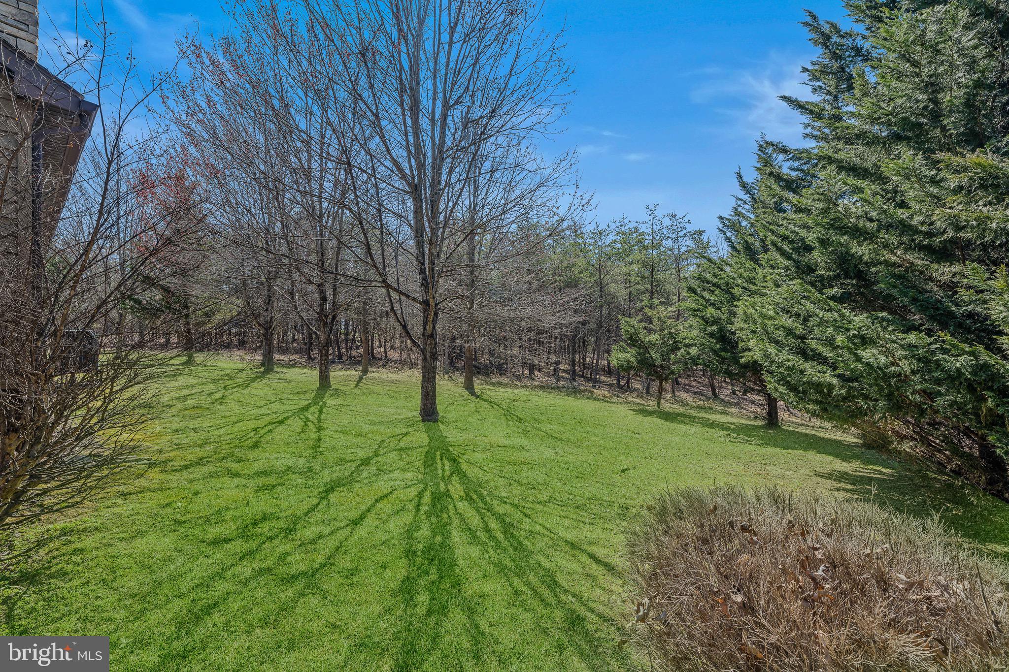 CACAPON SOUTH - Residential