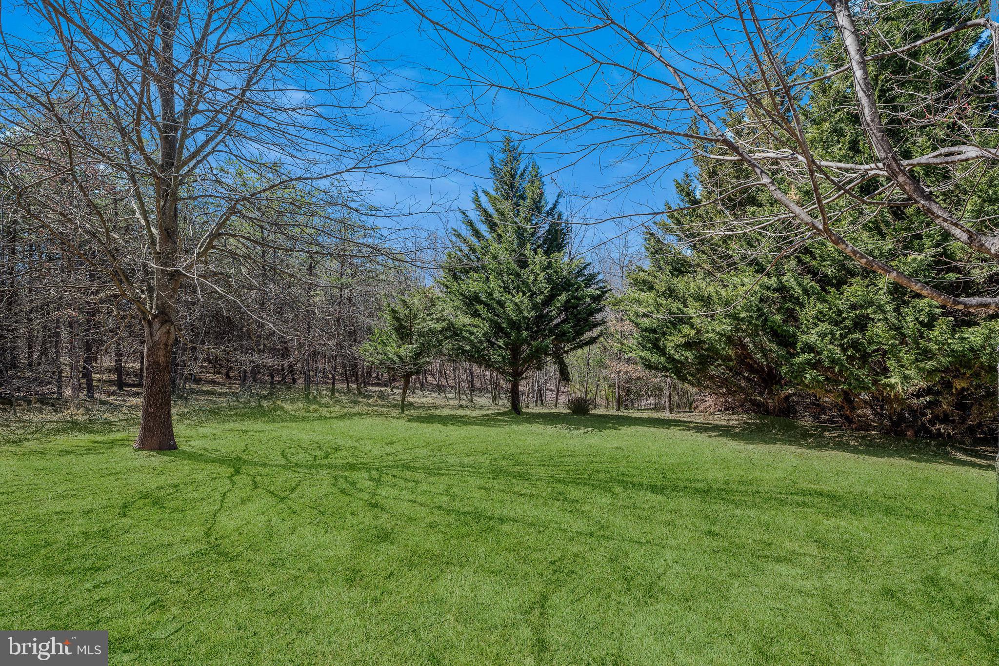 CACAPON SOUTH - Residential