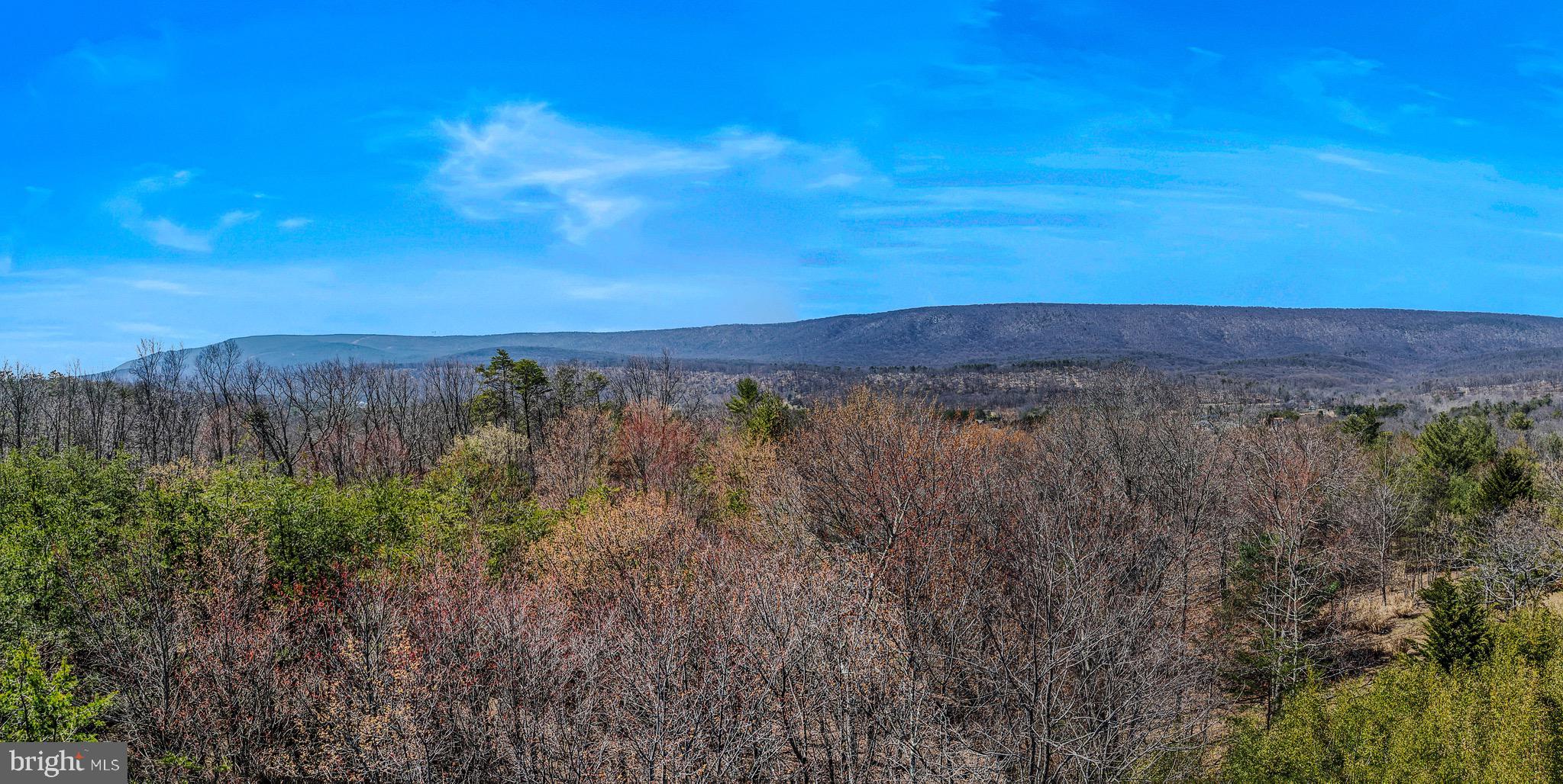 CACAPON SOUTH - Residential