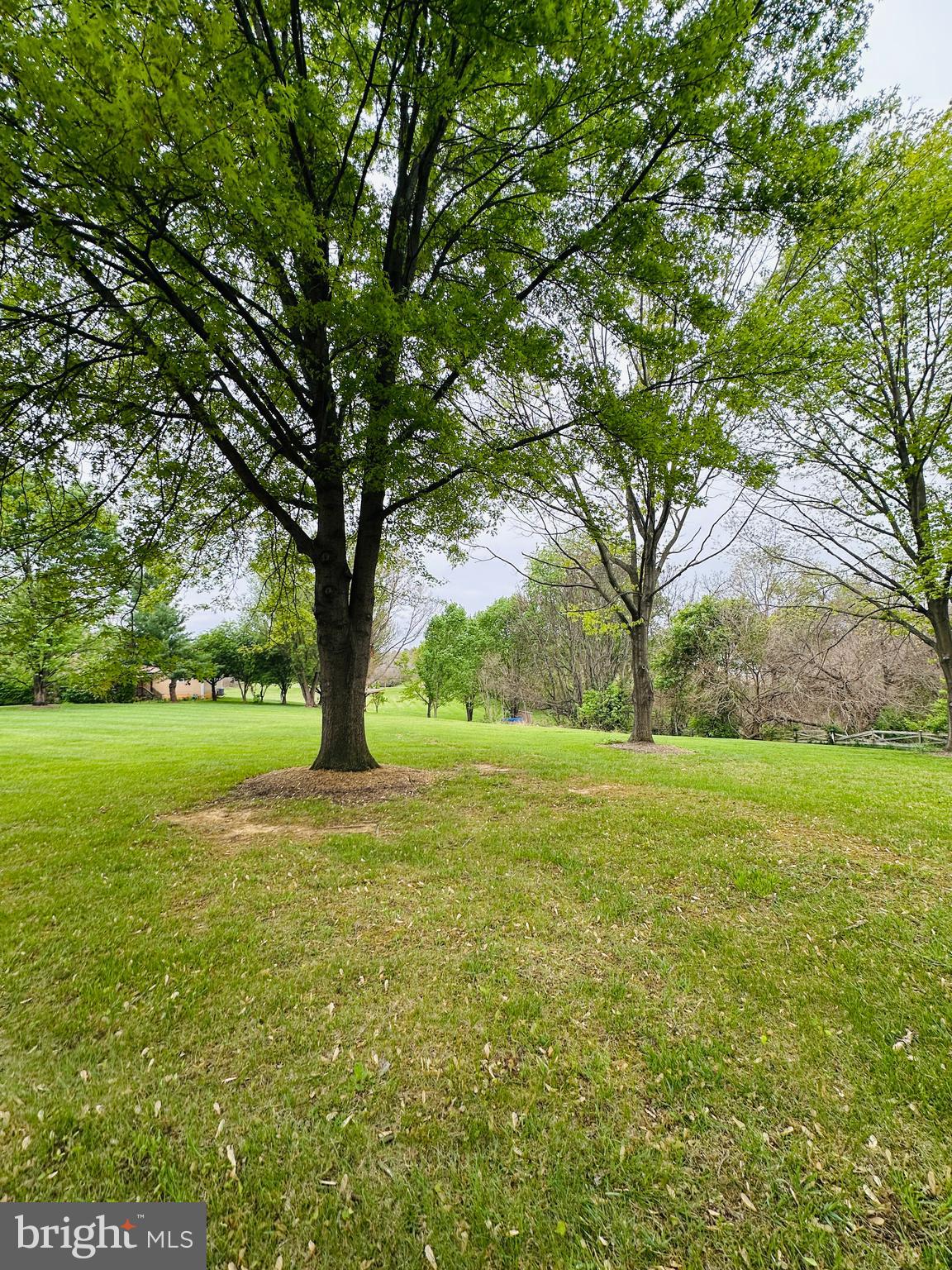 STEEPLE CHASE - Residential