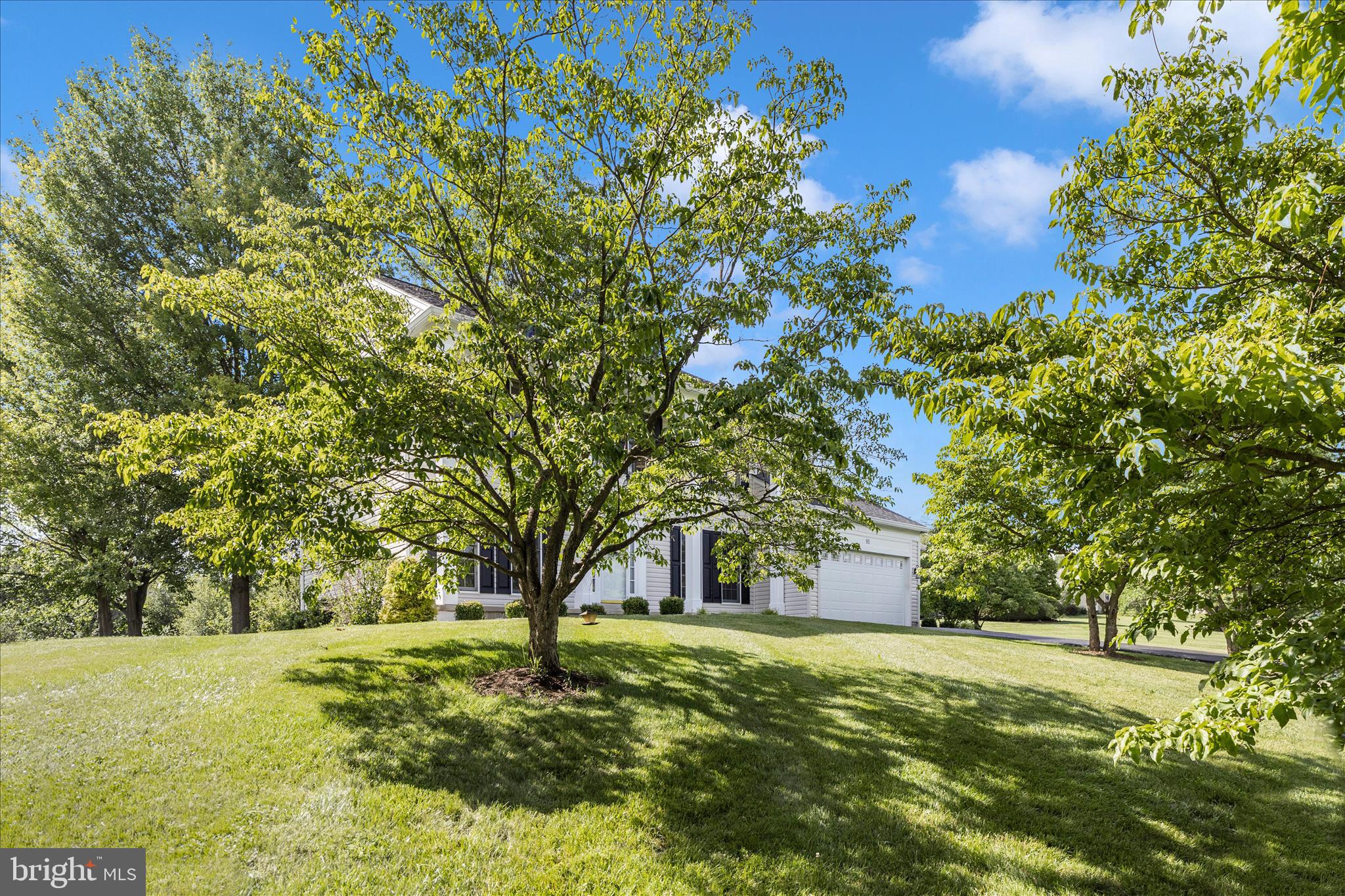 STEEPLE CHASE - Residential