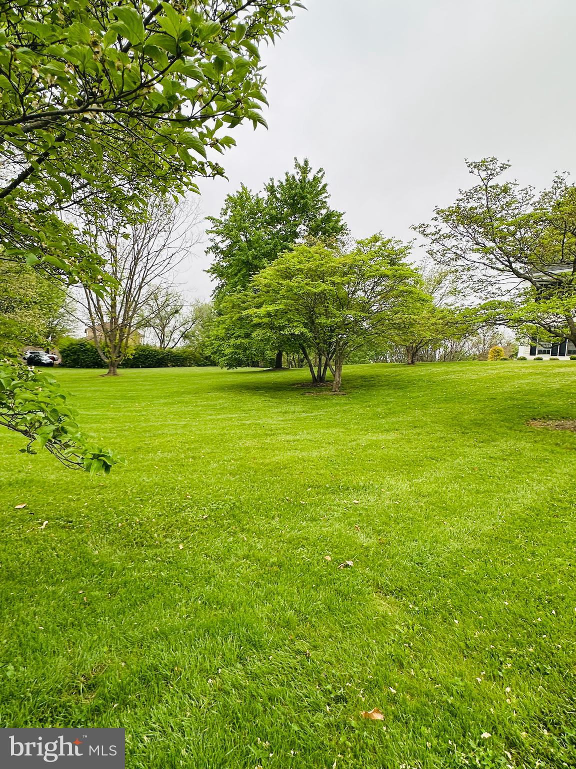 STEEPLE CHASE - Residential