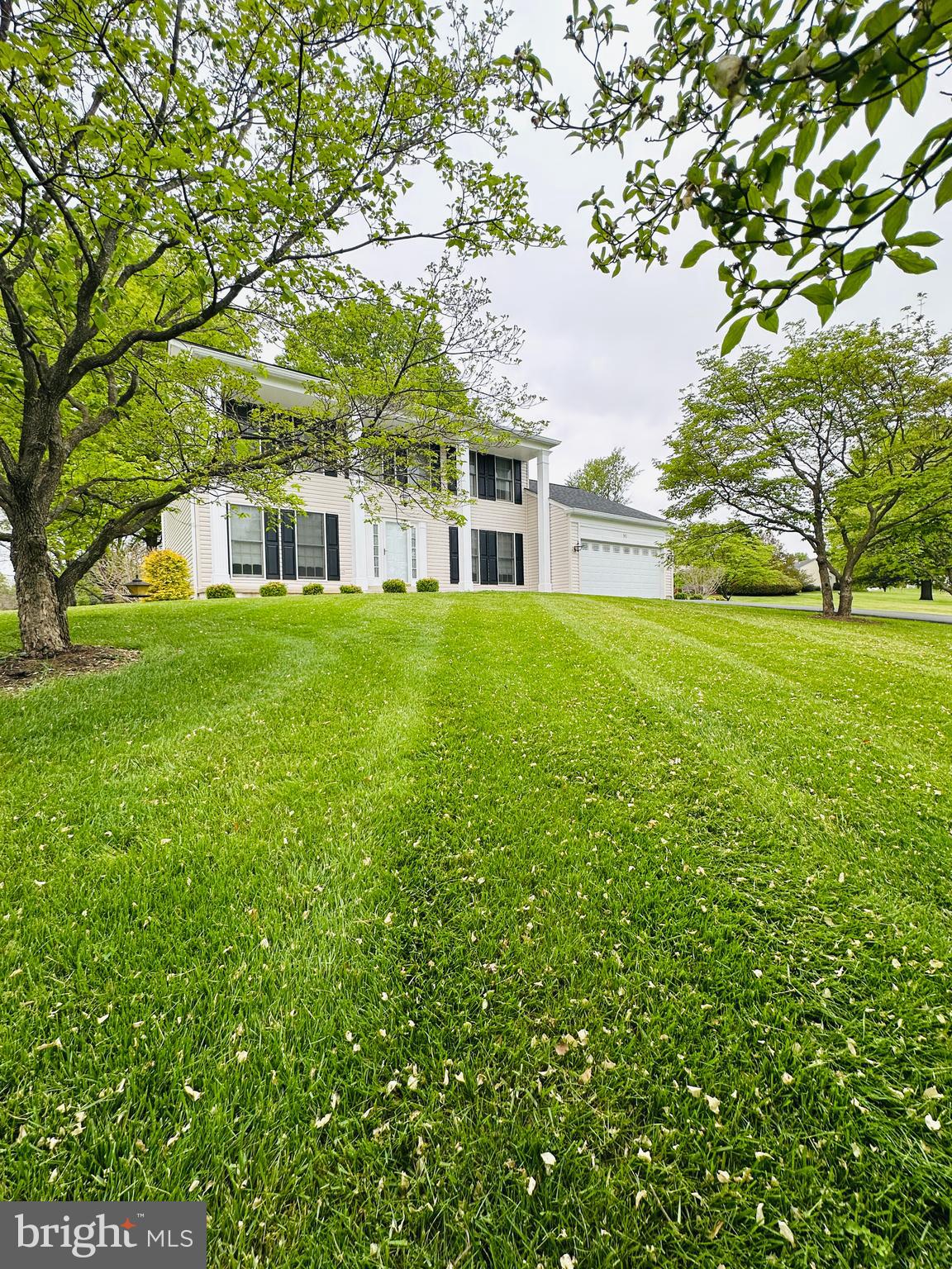 STEEPLE CHASE - Residential