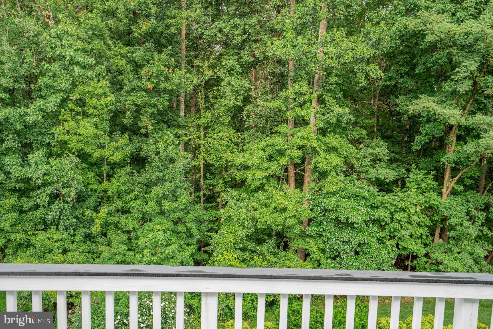 NEWPORT - Residential