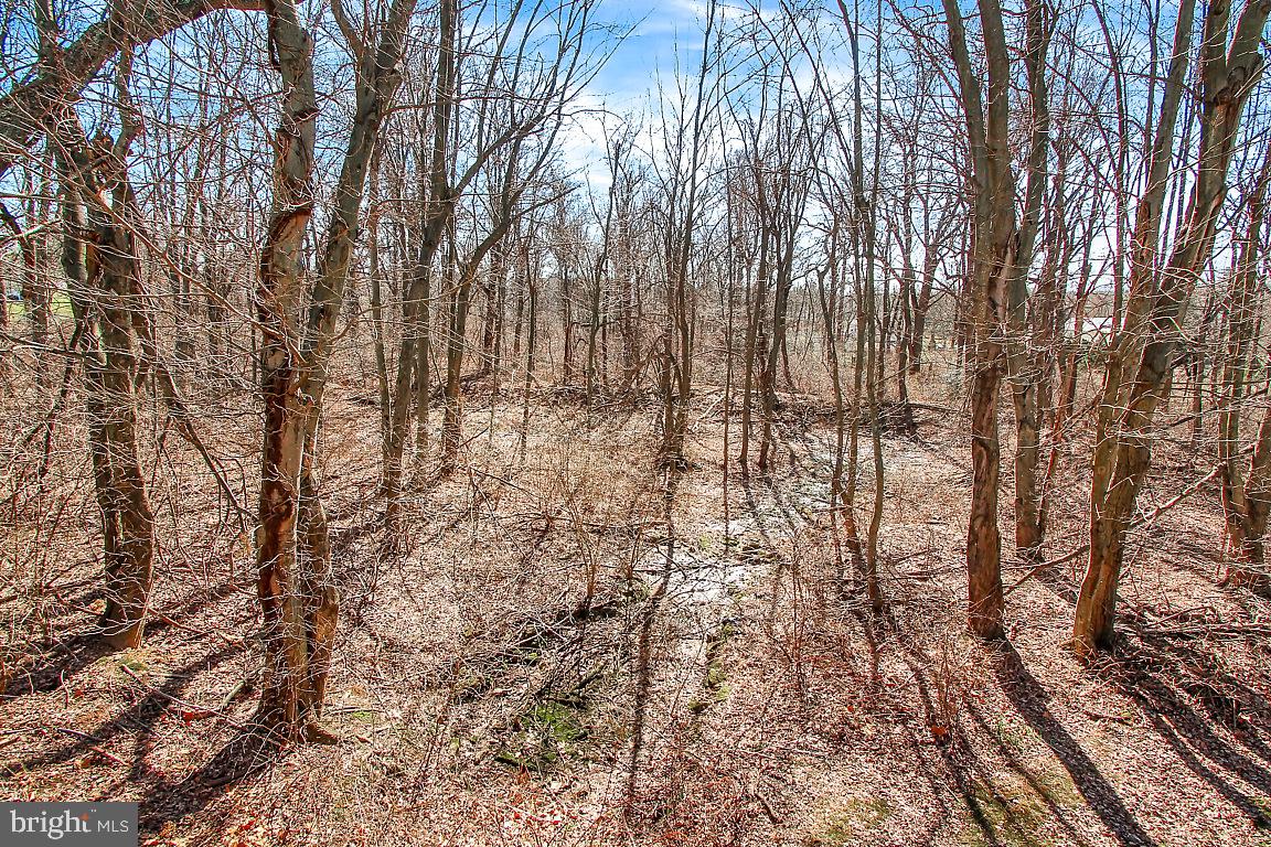 WOODLAND SPRINGS - Residential