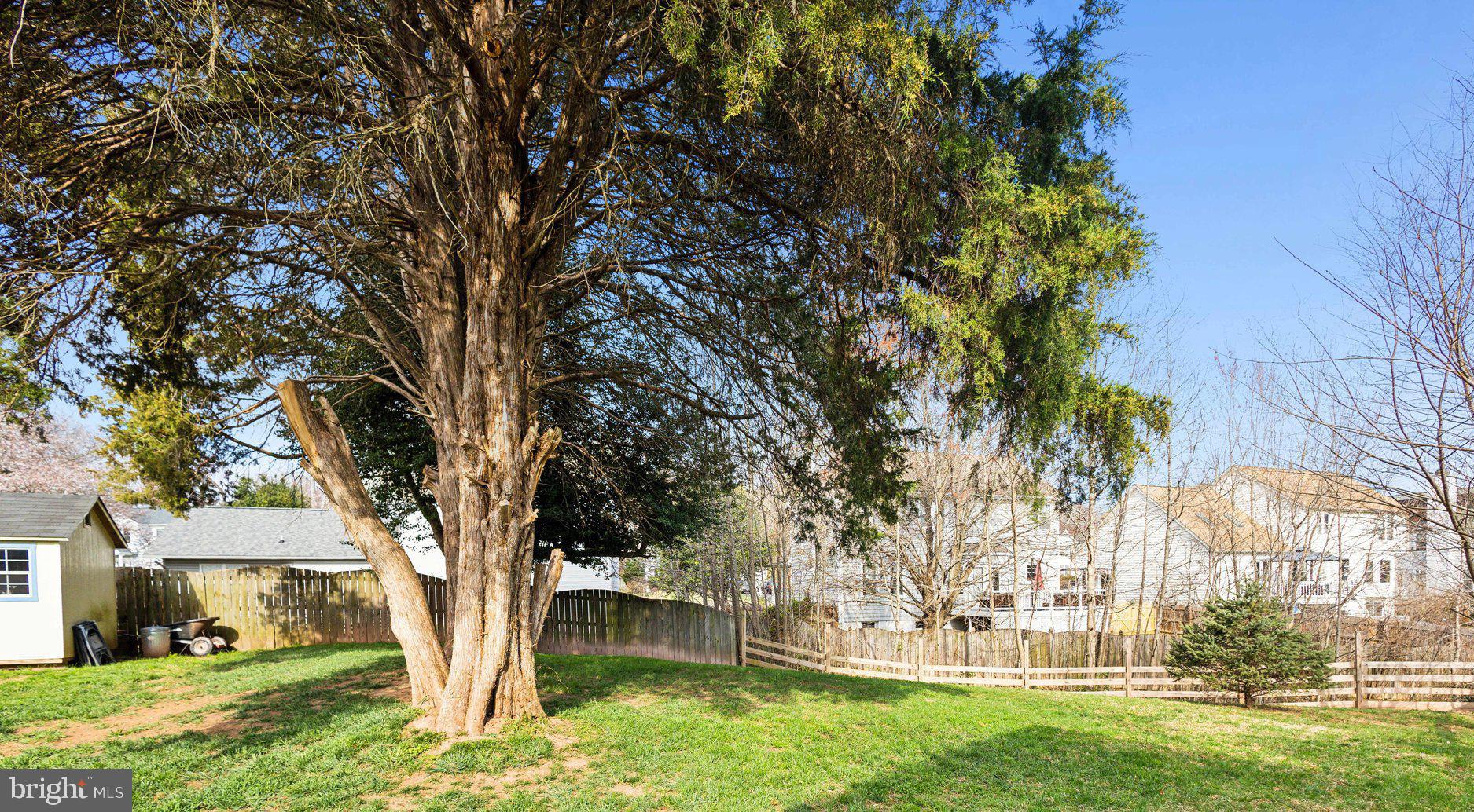 SMOKETREE - Residential