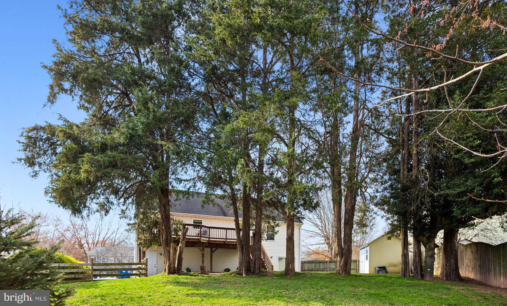 SMOKETREE - Residential