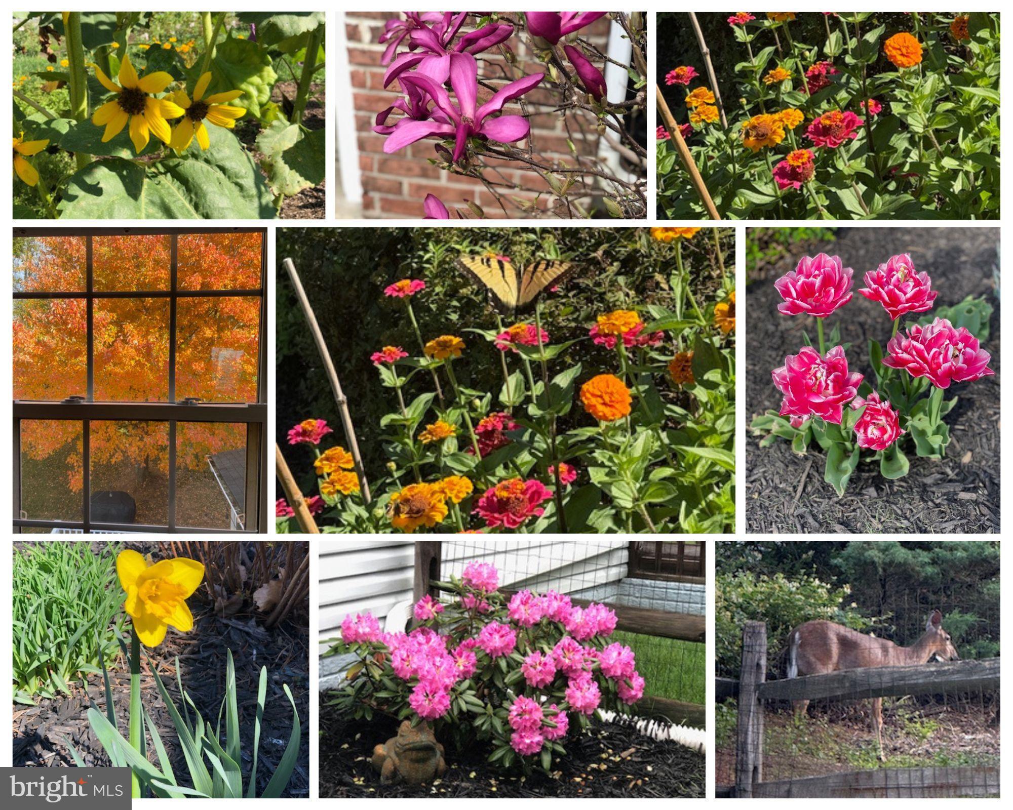 DIAMOND HILLS - Residential