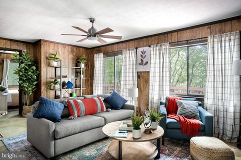 236 JUDD LANE MOUNT JACKSON VA 22842