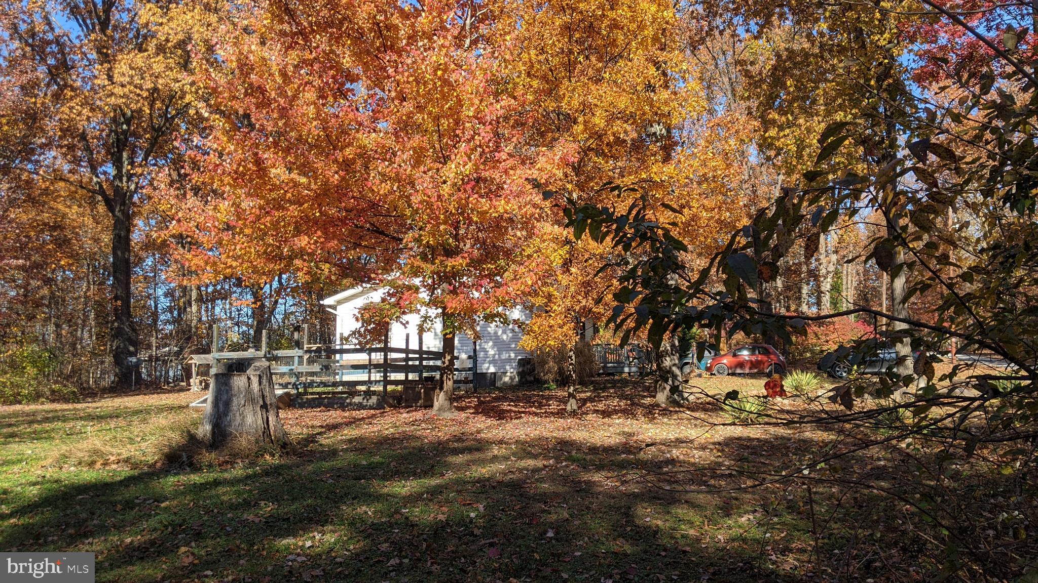 SHANNONDALE - Residential