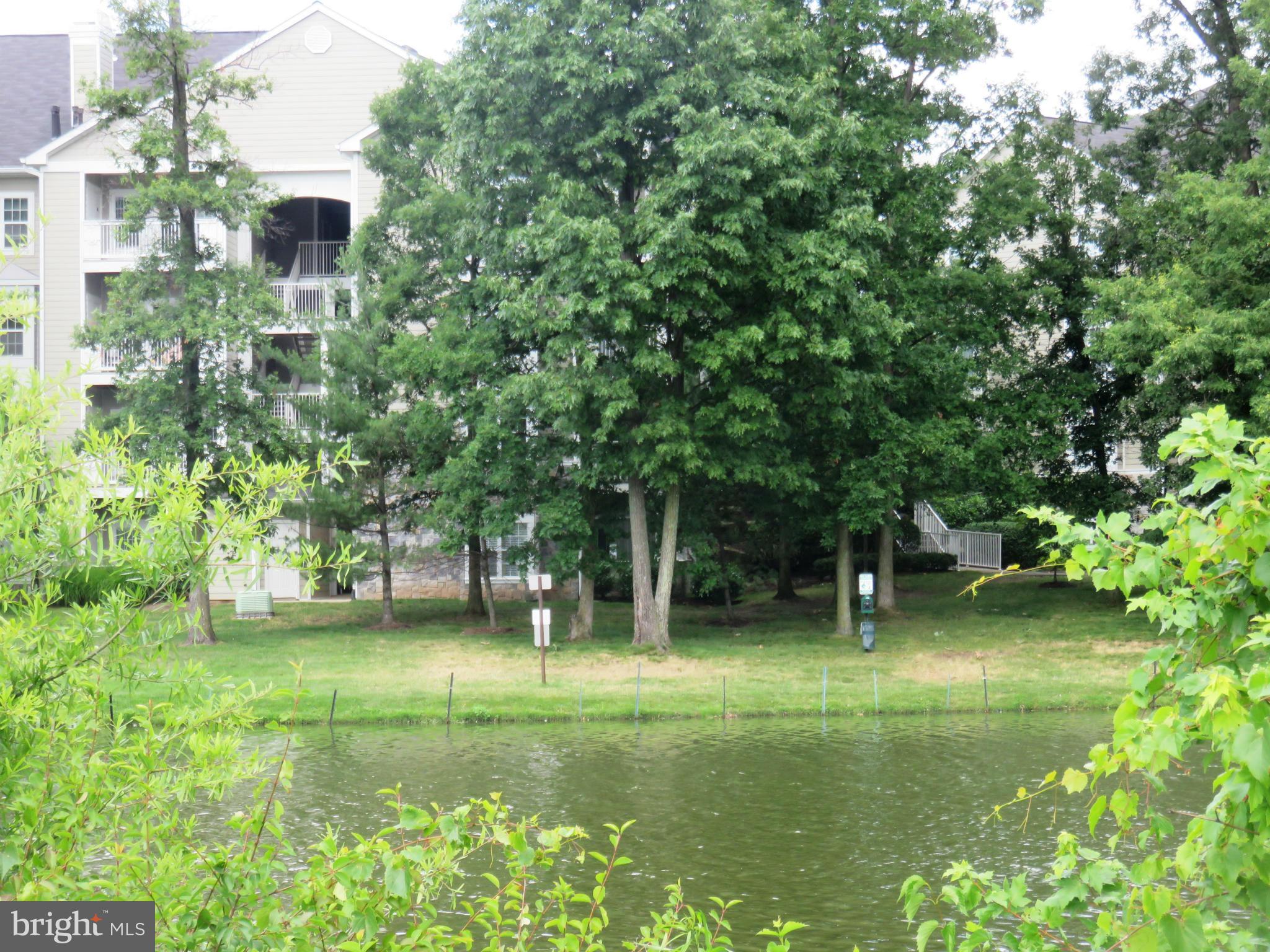 EDGEWATER AT TOWN CENTER - Residential