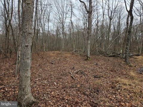 Vacant Land For Sale - Bradford Johnson Road<br/> GOLTS, MD 21635