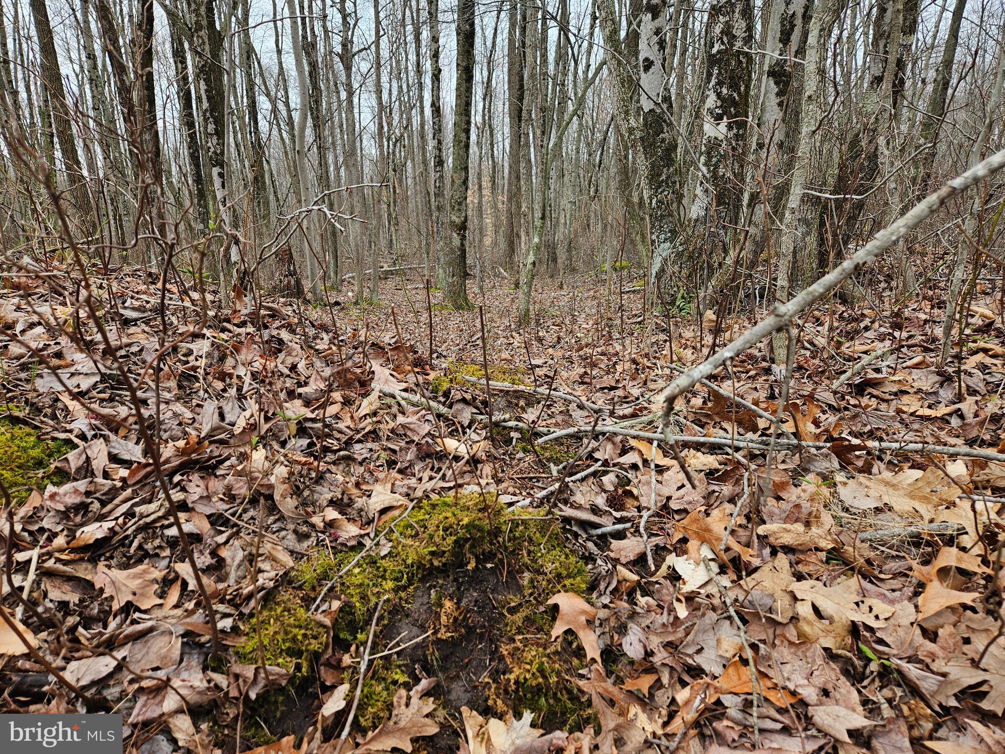 BRADFORD JOHNSON ROAD