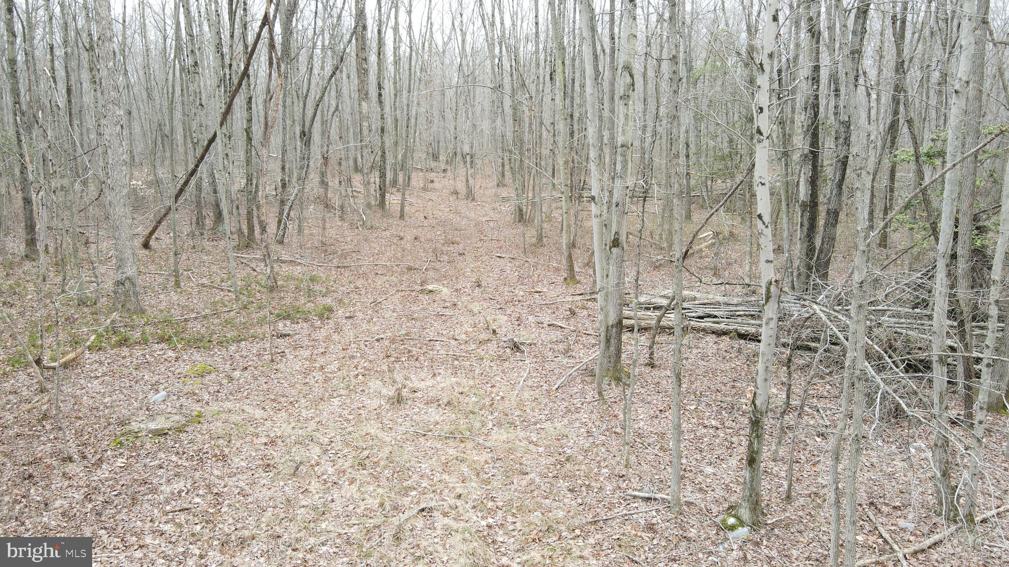 BRADFORD JOHNSON ROAD