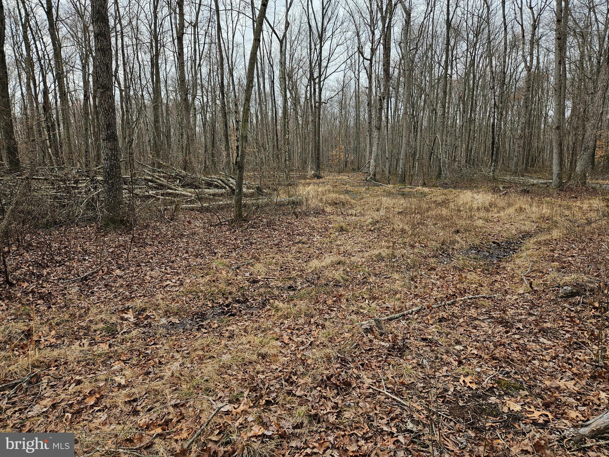 BRADFORD JOHNSON ROAD