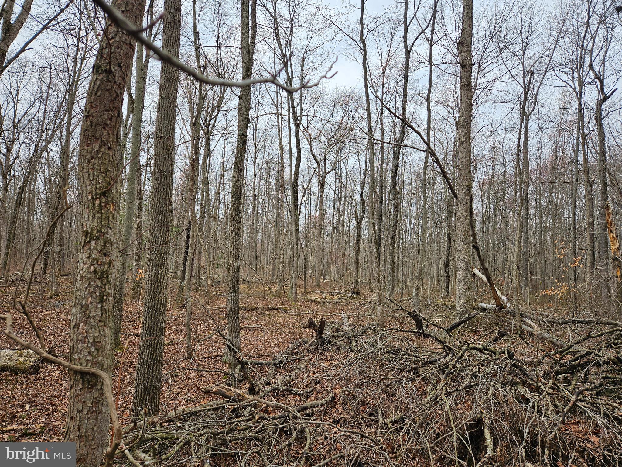 BRADFORD JOHNSON ROAD