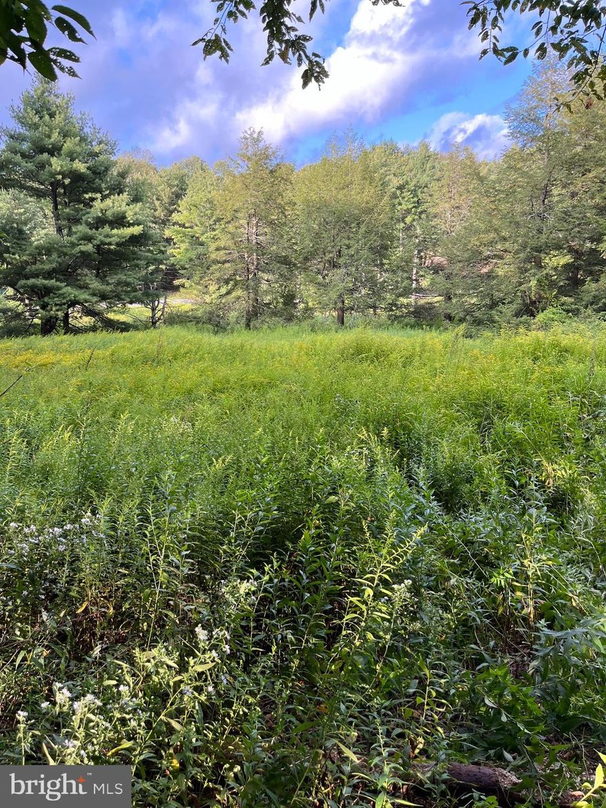 This plot of land is private and quiet. It's off RT 40, close to I68, Frostburg, Cumberland and Deep Creek. Whether skiing, camping, hunting, fishing, hiking or biking,  this is a perfect location to take advantage of all that Mother Nature's has to offer in beautiful Garrett County Maryland. 
There is a pond, and a flat open area for whatever dwelling you prefer.  It won't take much to clear the overgrowth and add a very small bridge to make the driveway more accessible as it once was.