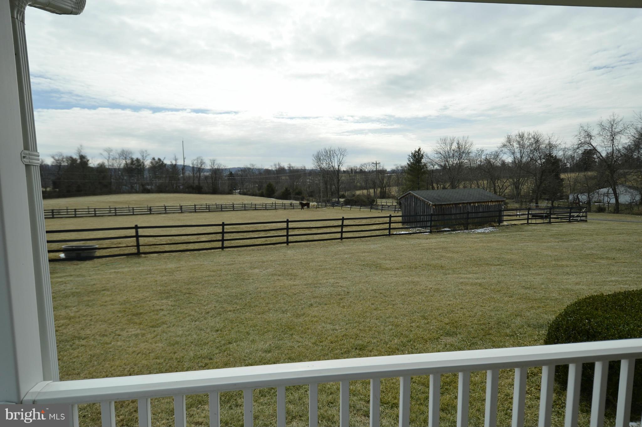 NONE AVAILABLE - Farm