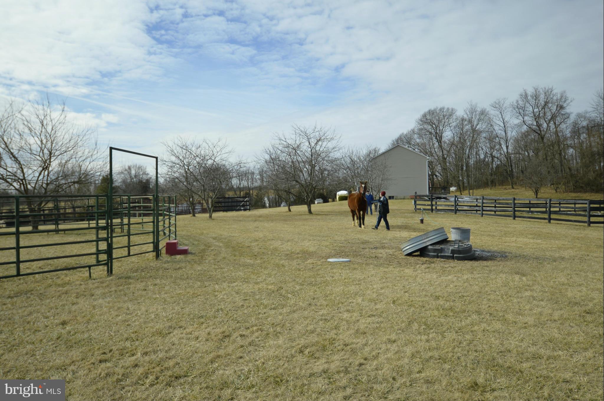 NONE AVAILABLE - Farm