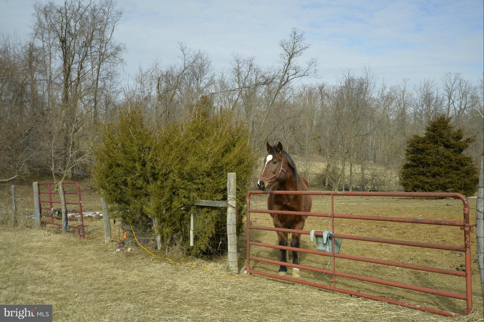 NONE AVAILABLE - Farm