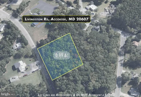 MLS: MDPG2165452