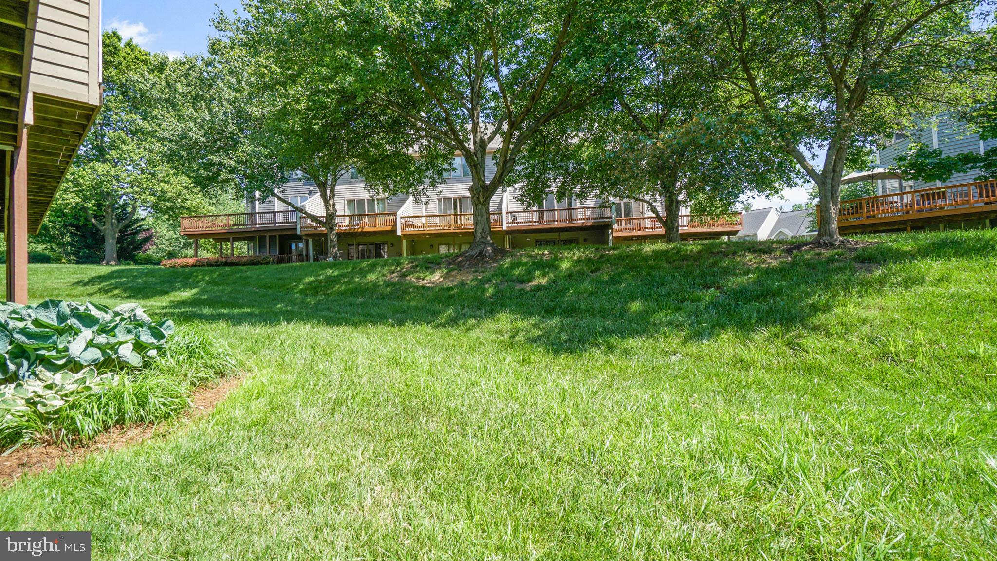 DORSEY SEARCH - Residential