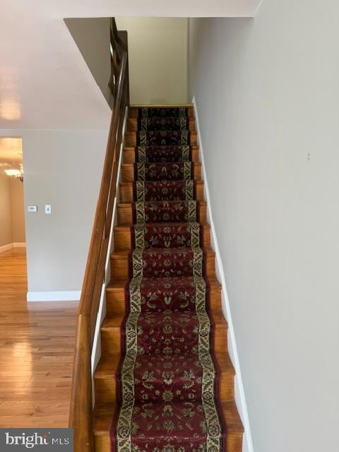 6030 TULIP STREET