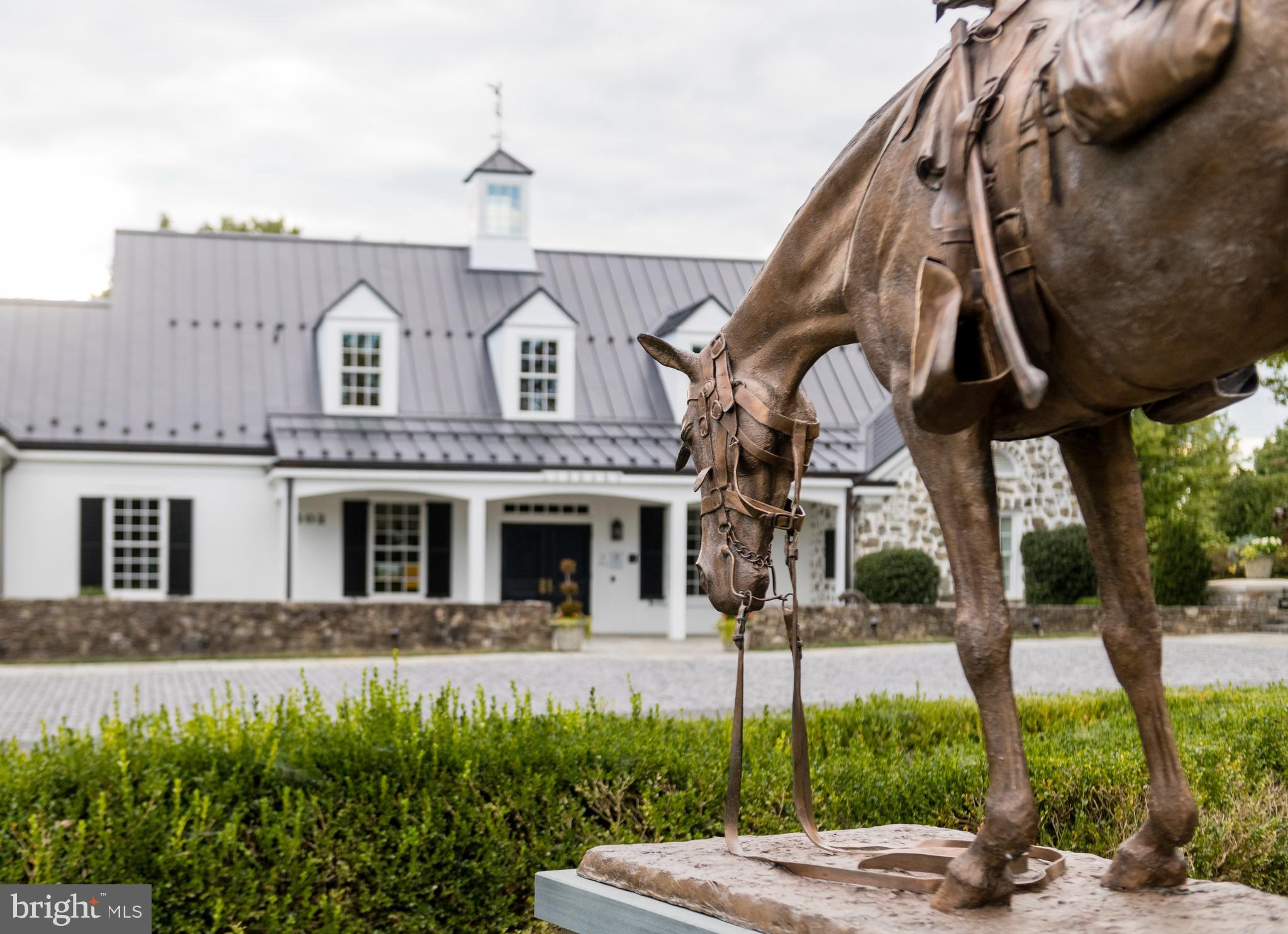 RESIDENCES AT SALAMANDER - Residential