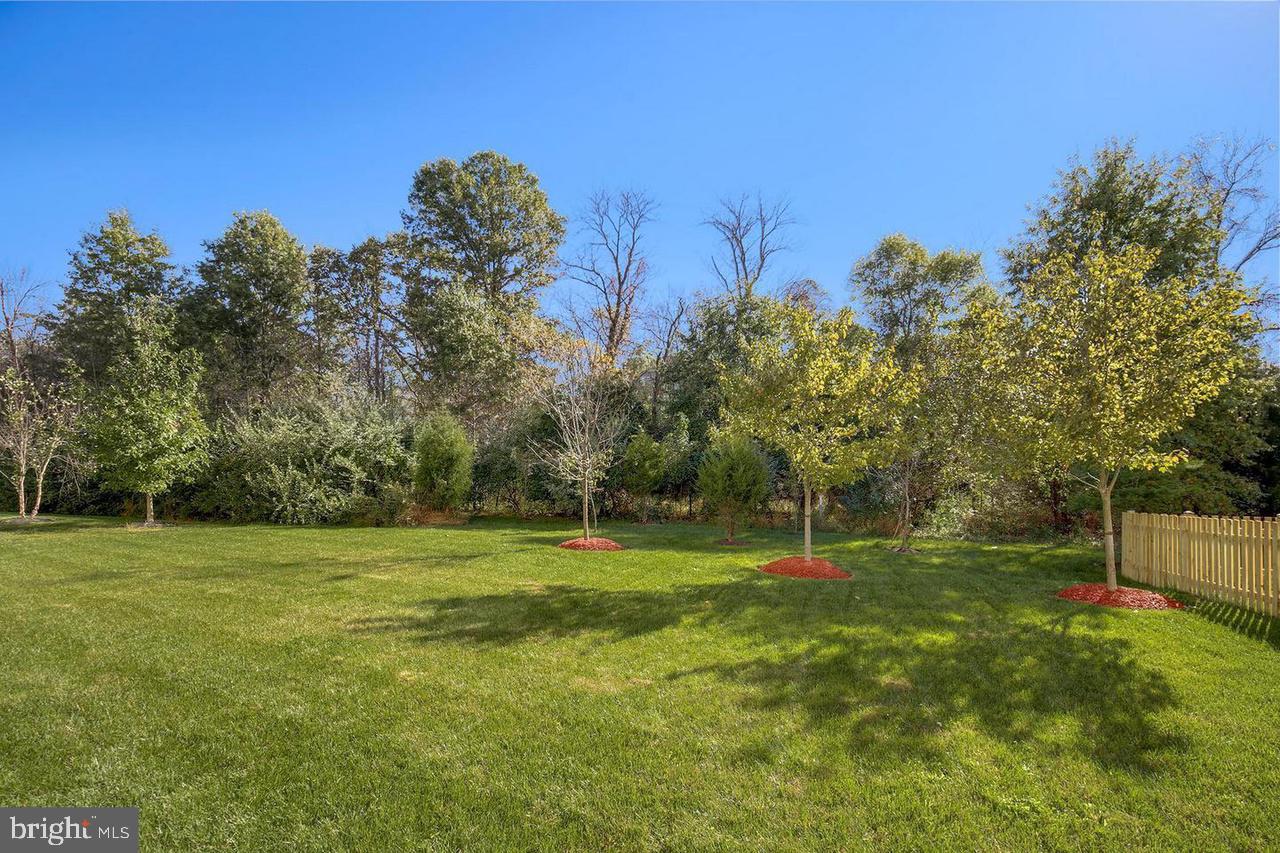 BRAMBLETON BRANDT PROPERTY - Residential Lease