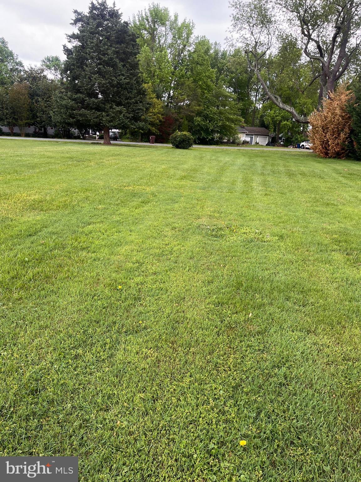 CHESAPEAKE ESTATES - Residential Lease