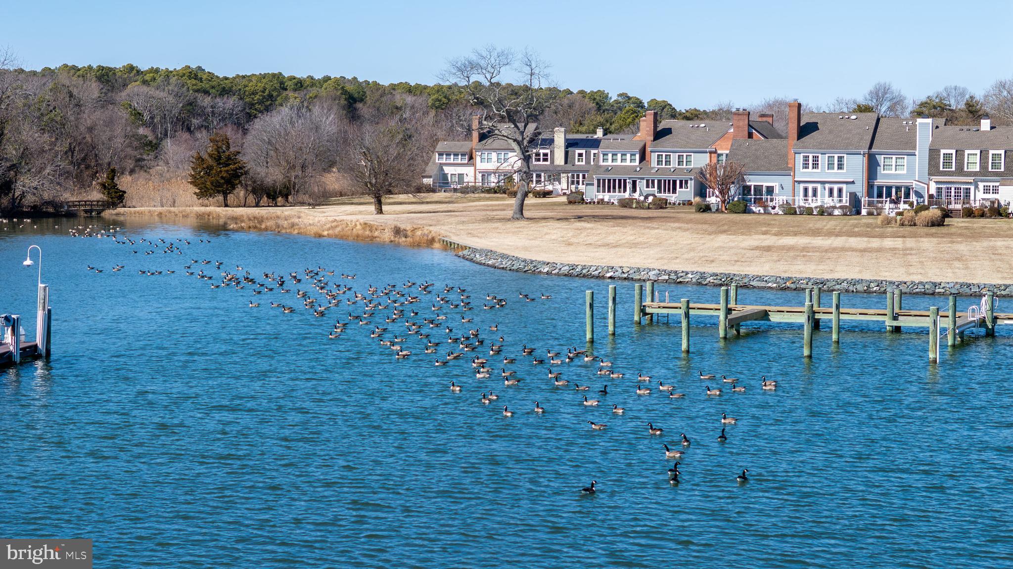 PERRY CABIN - Residential