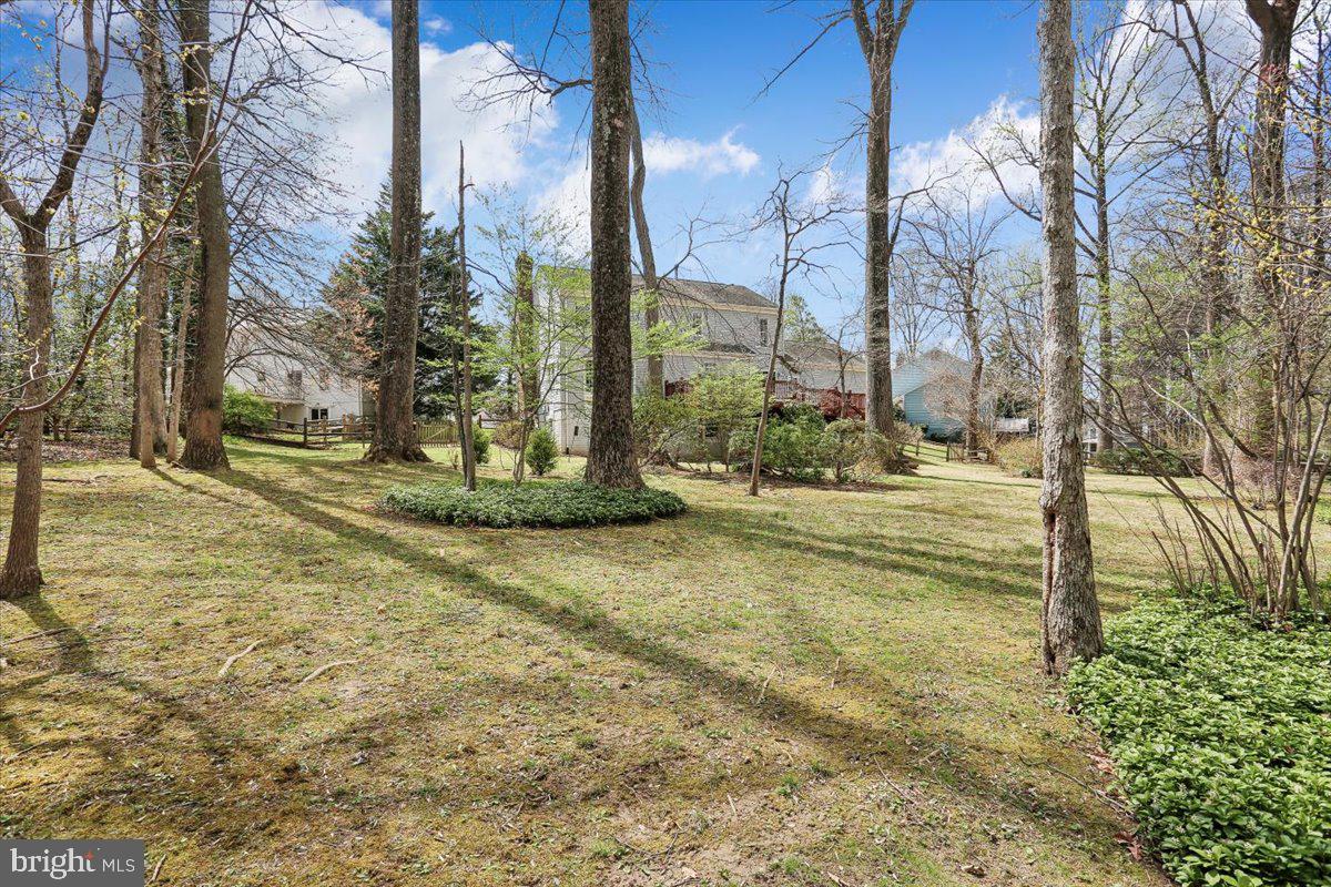 WILLIAMSBURG VILLAGE - Residential