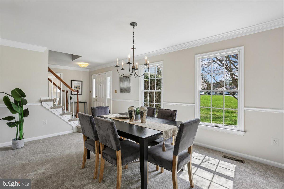 WILLIAMSBURG VILLAGE - Residential