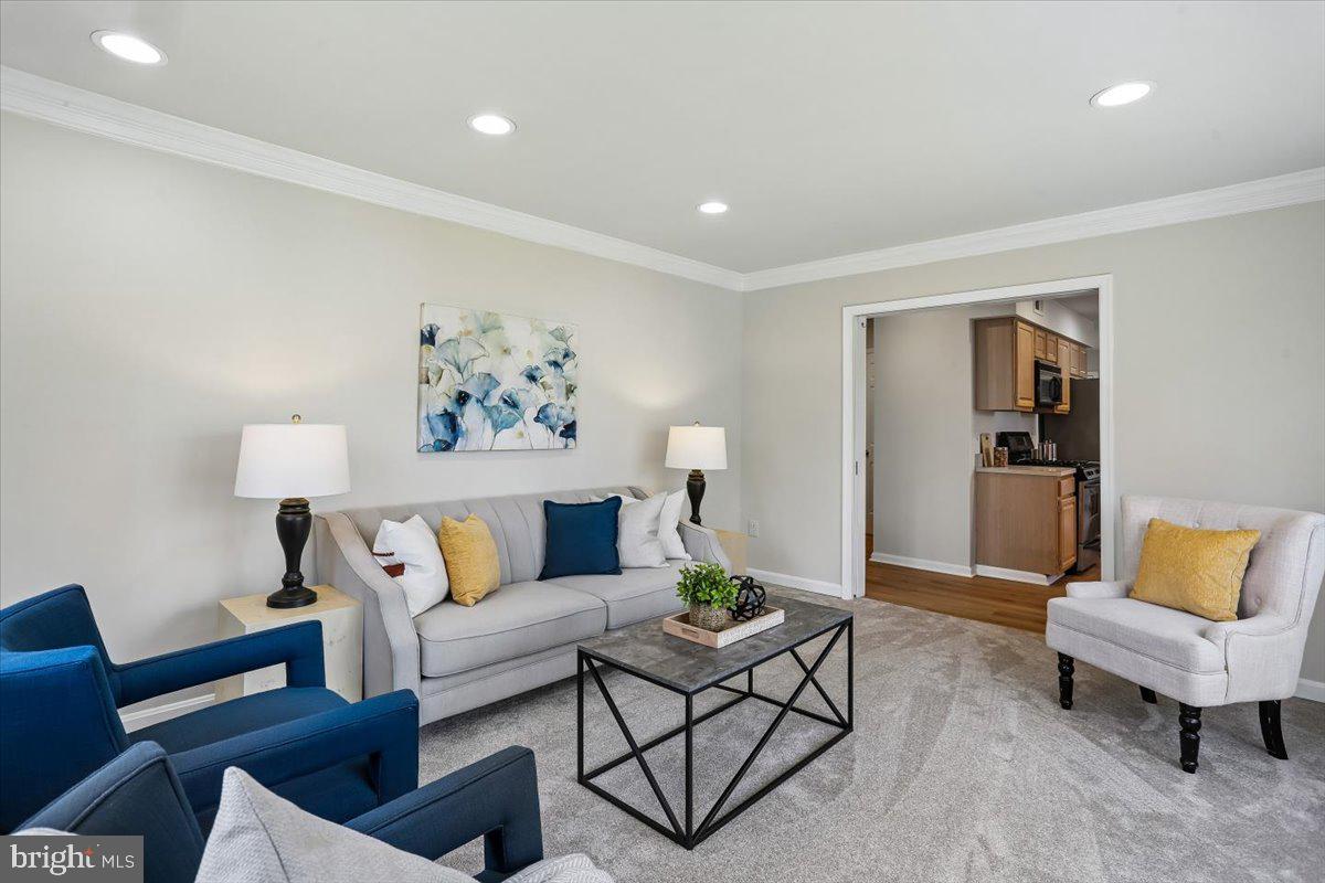 WILLIAMSBURG VILLAGE - Residential