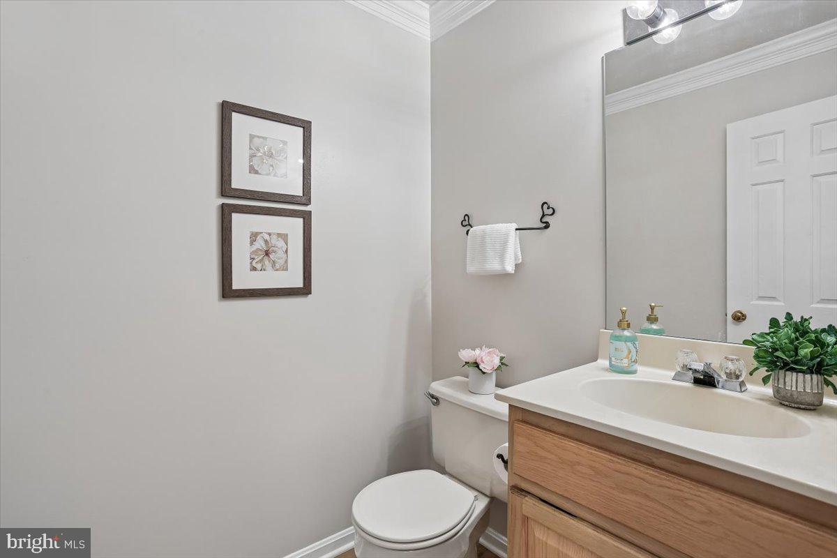 WILLIAMSBURG VILLAGE - Residential