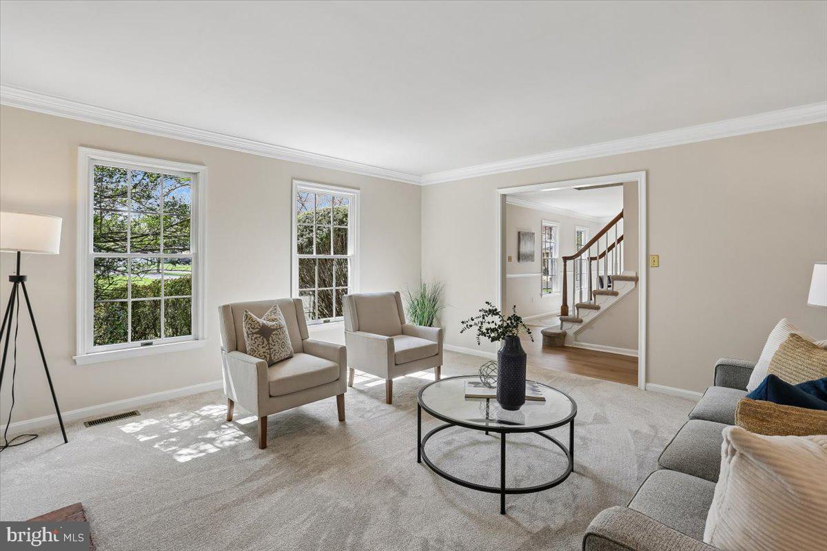 WILLIAMSBURG VILLAGE - Residential